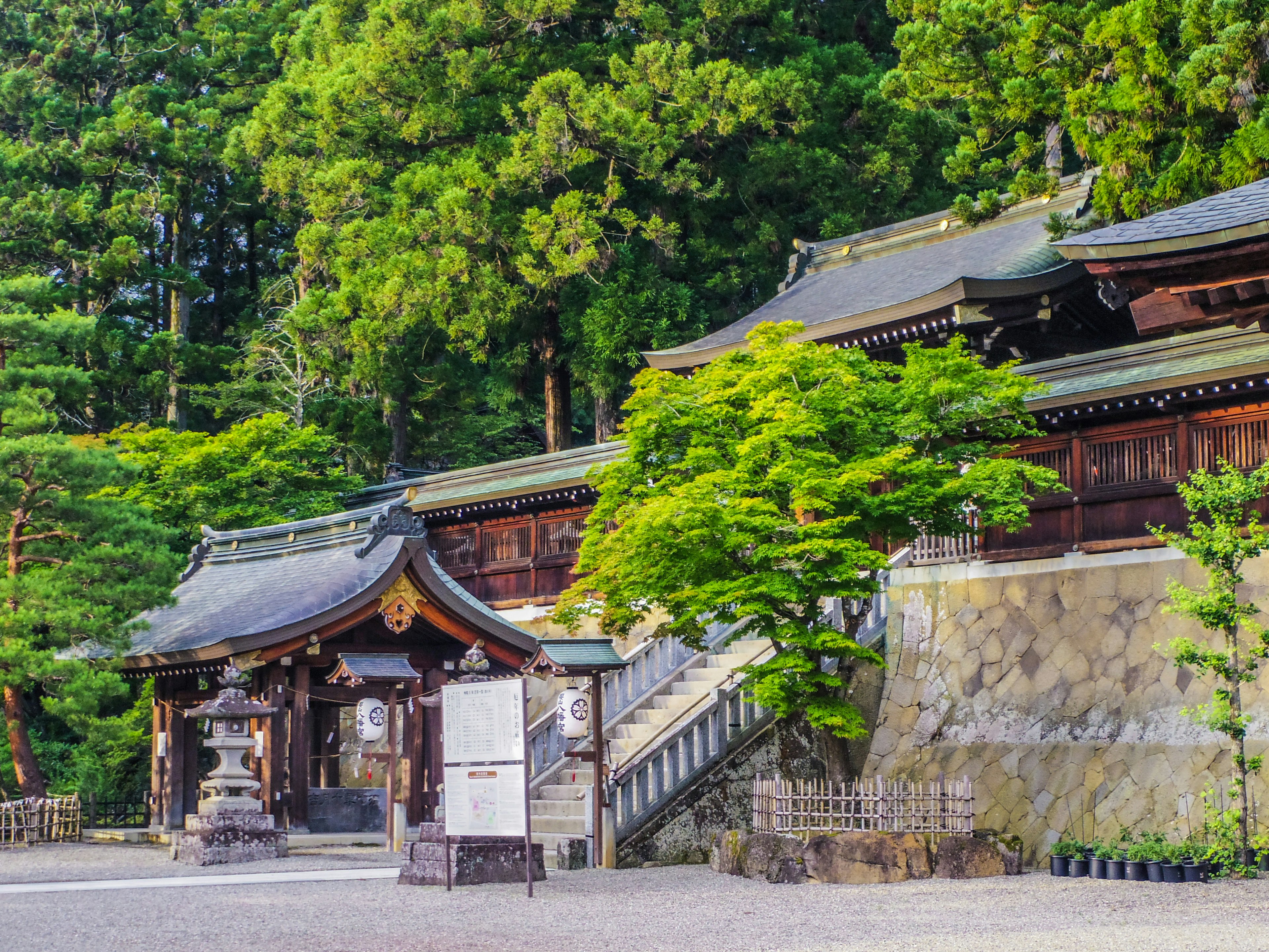 Traditionelles japanisches Schrein-Gebäude umgeben von üppigem Grün