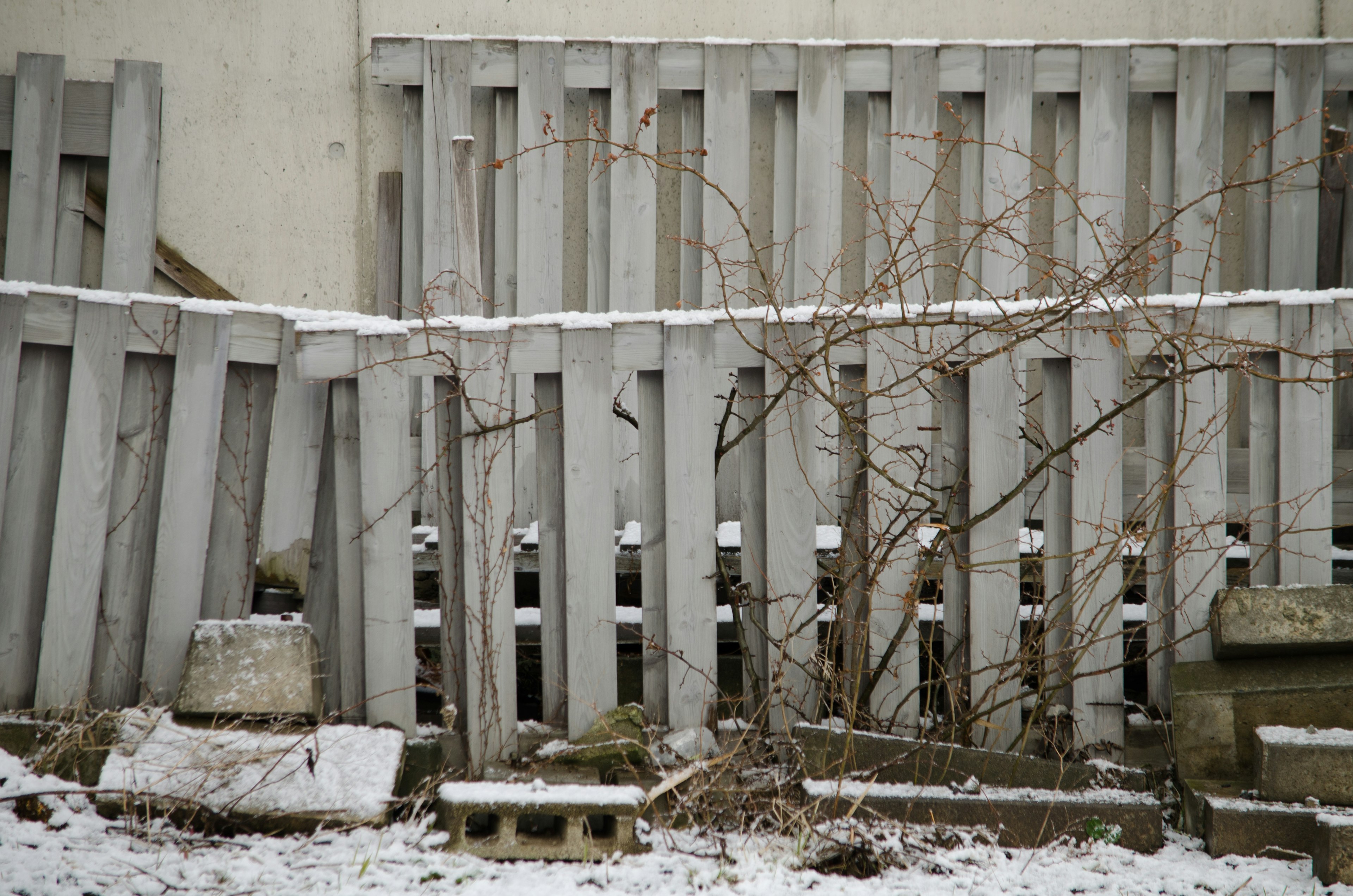 Un paisaje con una cerca de concreto cubierta de nieve y plantas secas