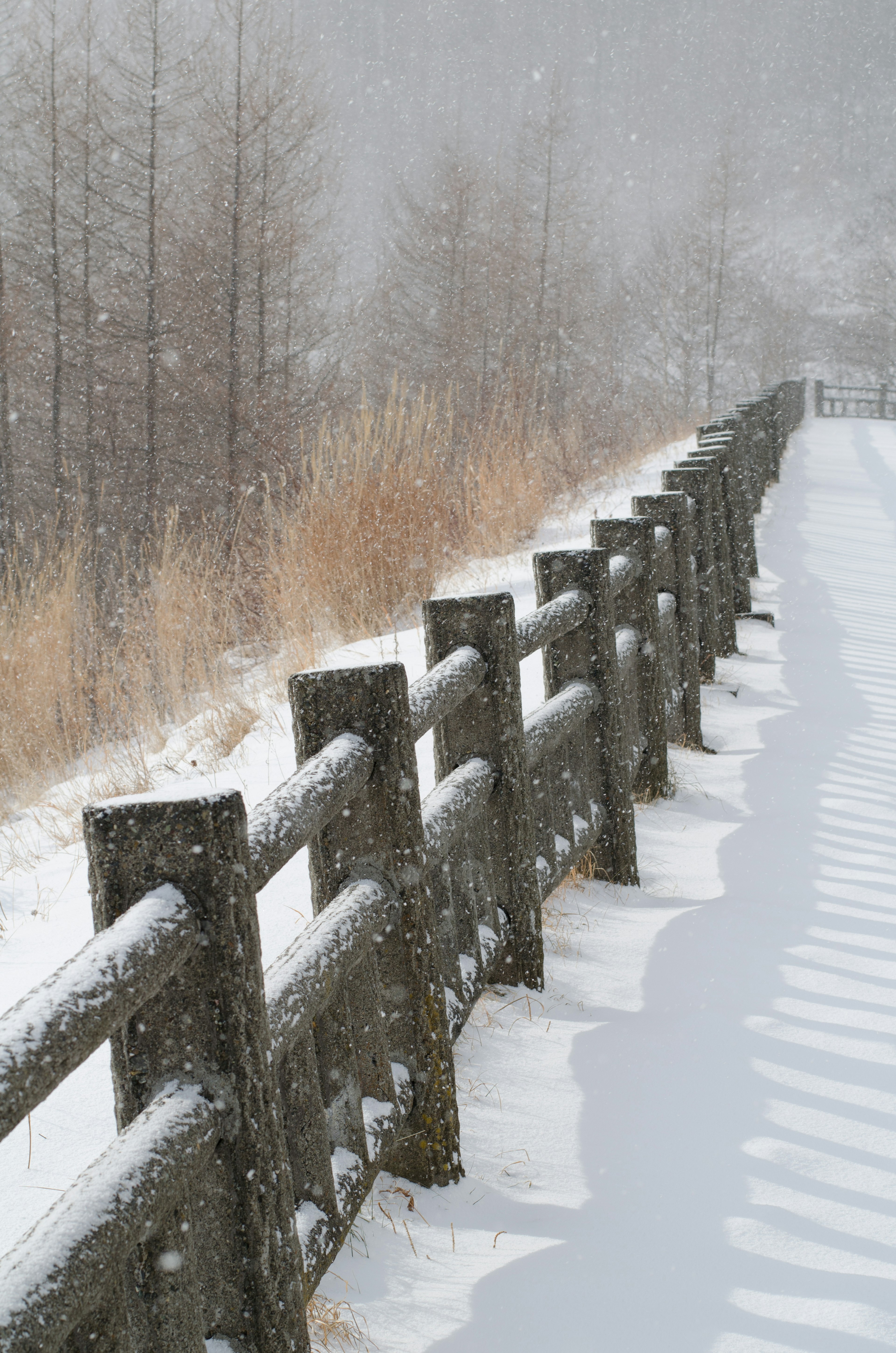 Recinzione in legno lungo un sentiero innevato con neve che cade