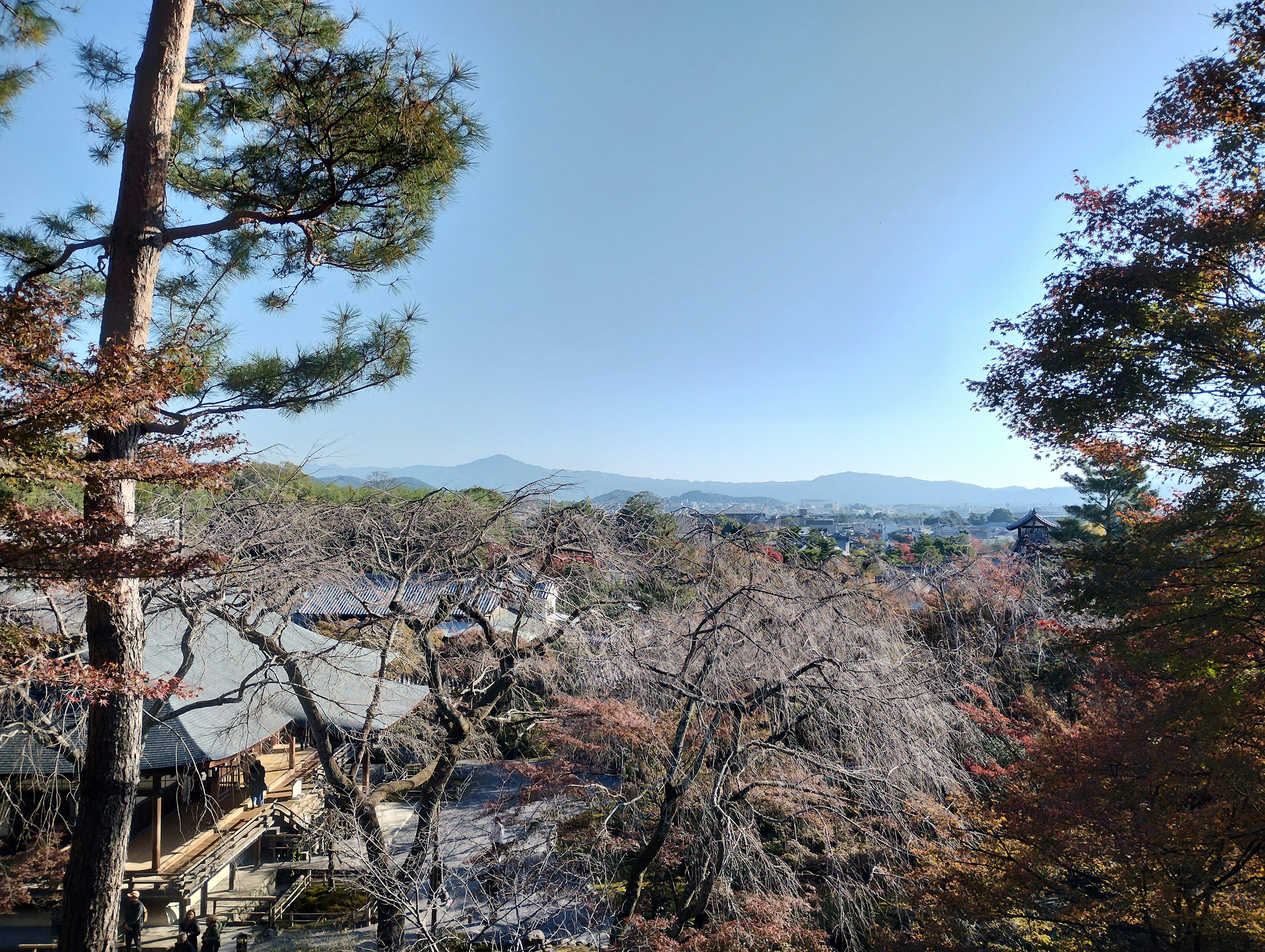 Vue panoramique avec des montagnes et des cerisiers en fleurs