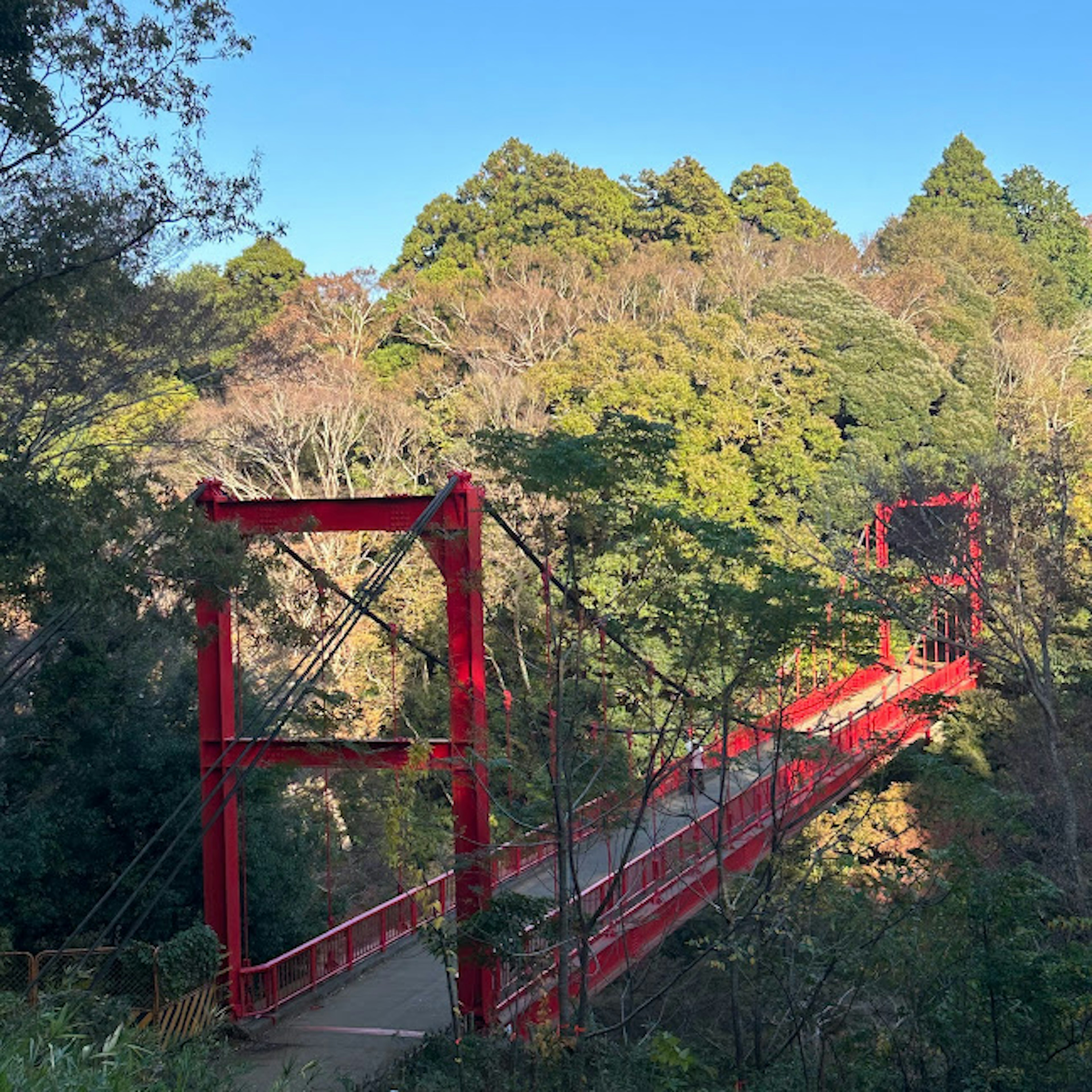 A red suspension bridge spanning a lush green forest