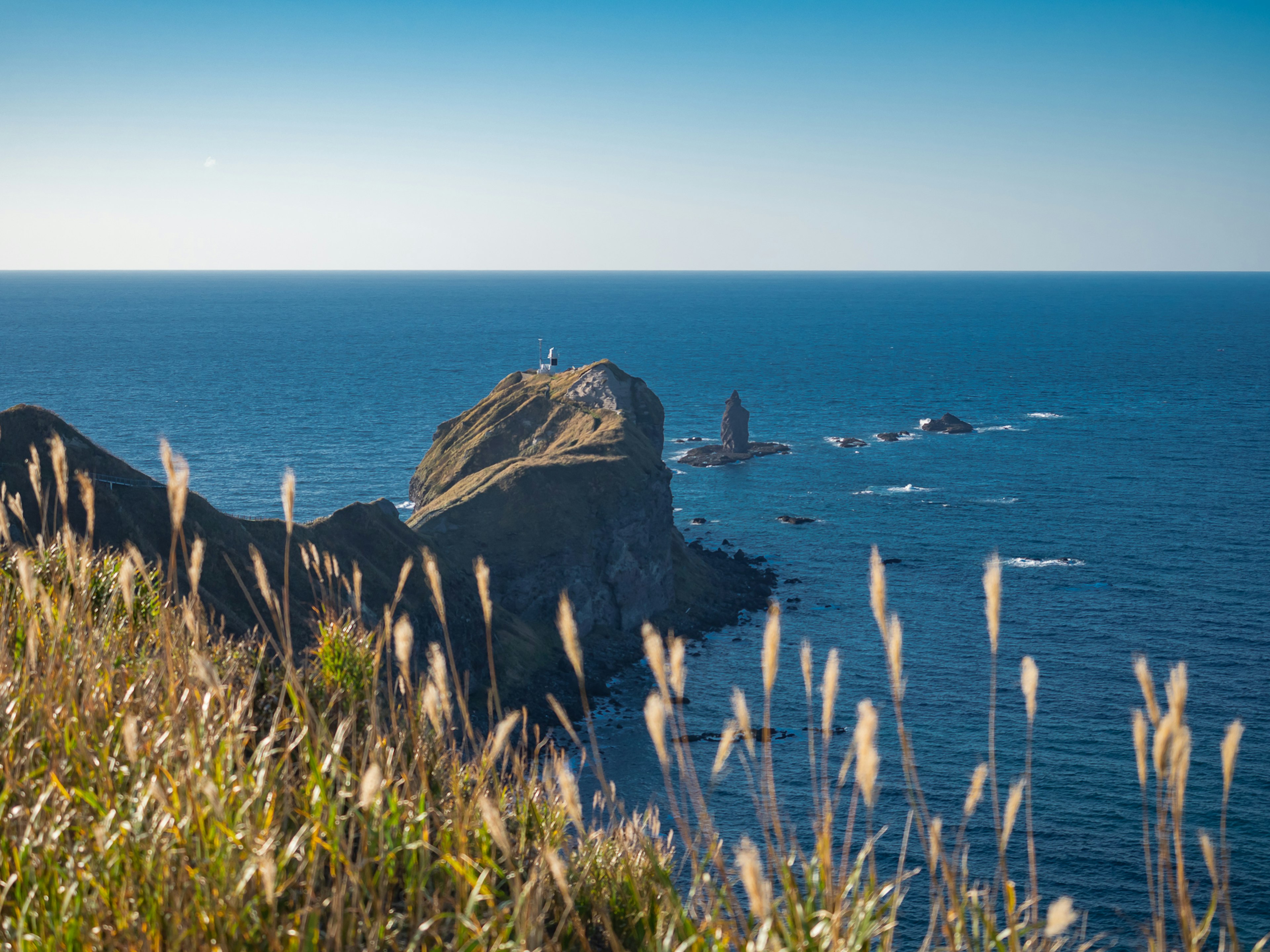 海洋旁岩石海岸线和高草的风景