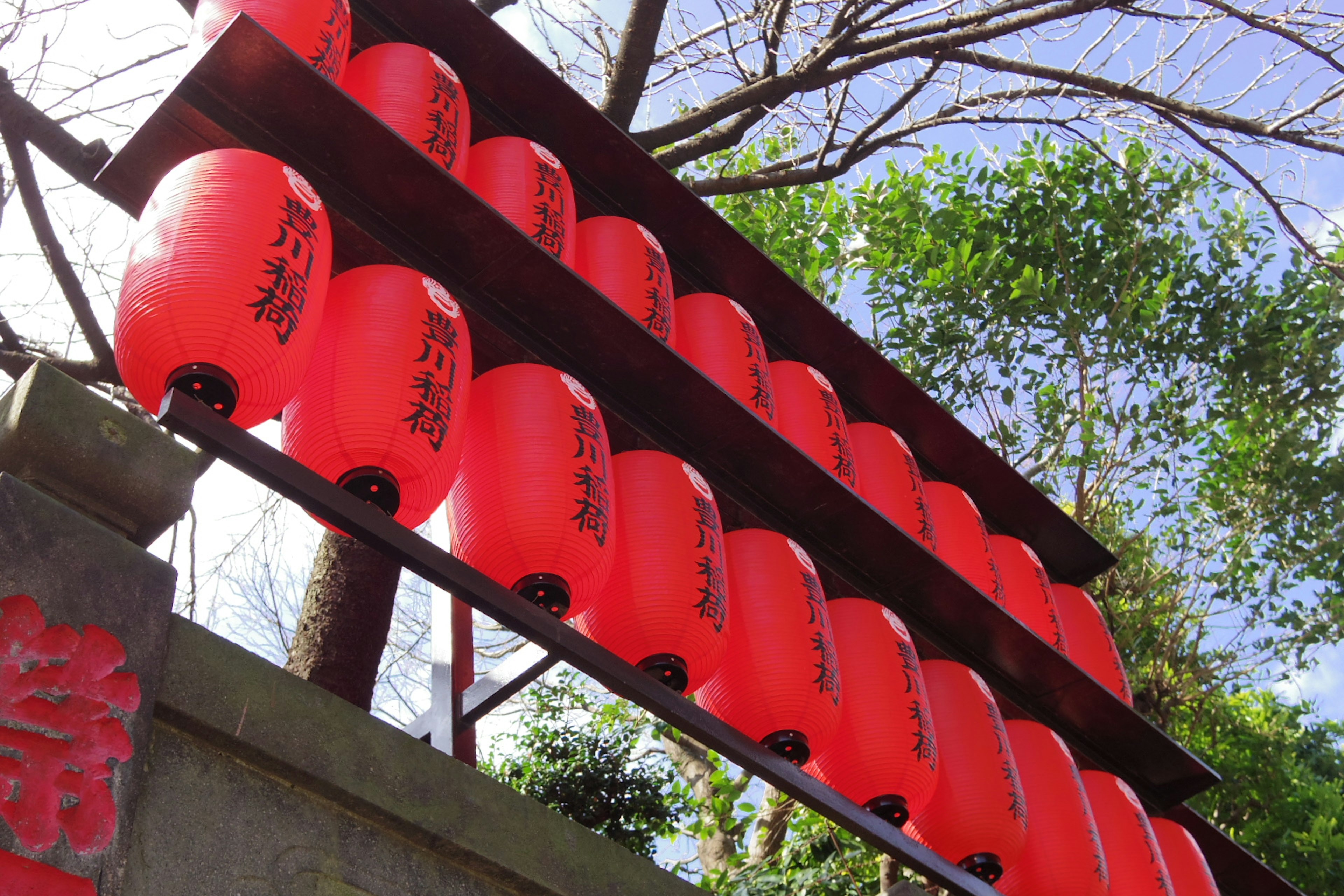 Rows of red lanterns with a backdrop of trees