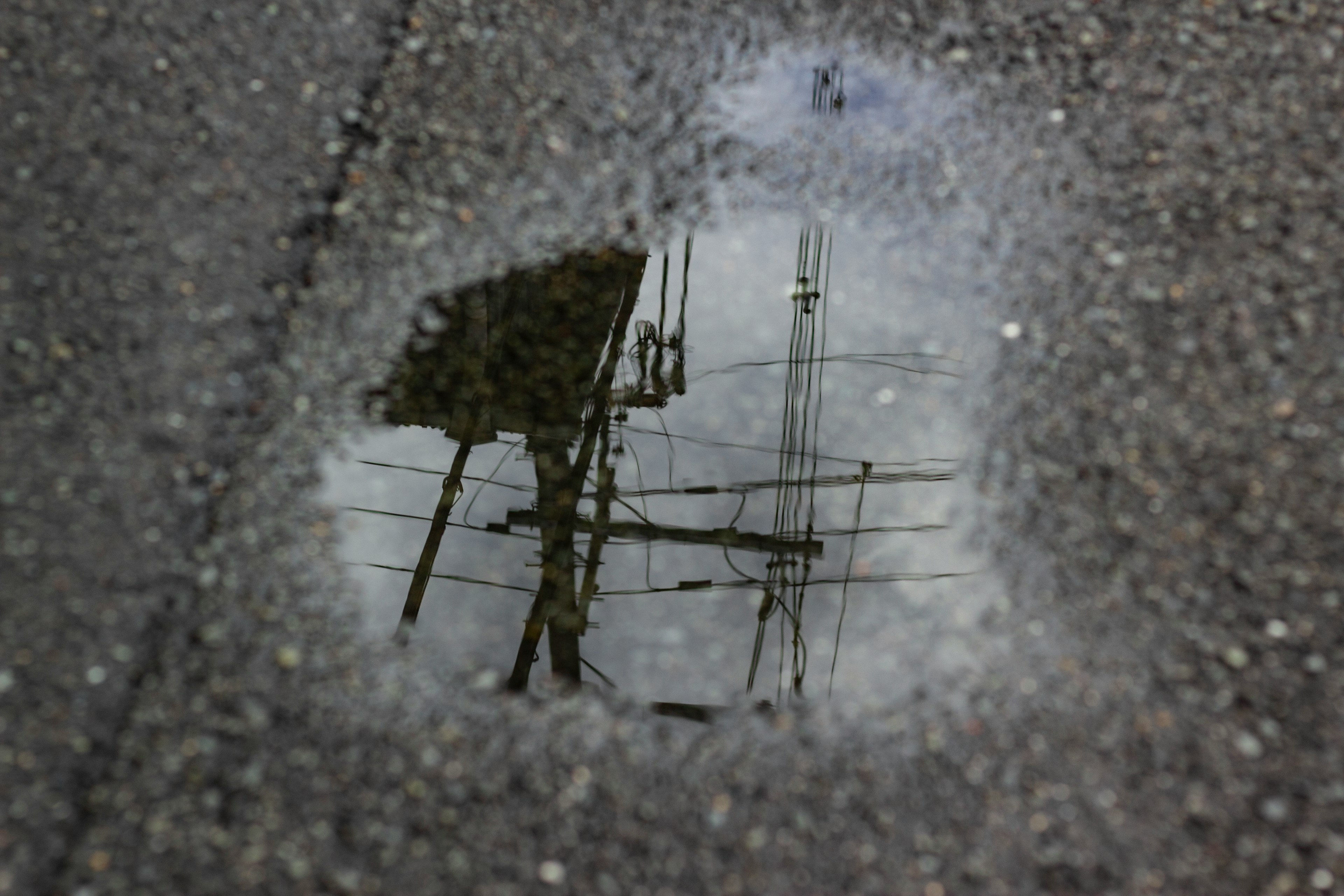 Reflection of a utility pole and wires in a puddle