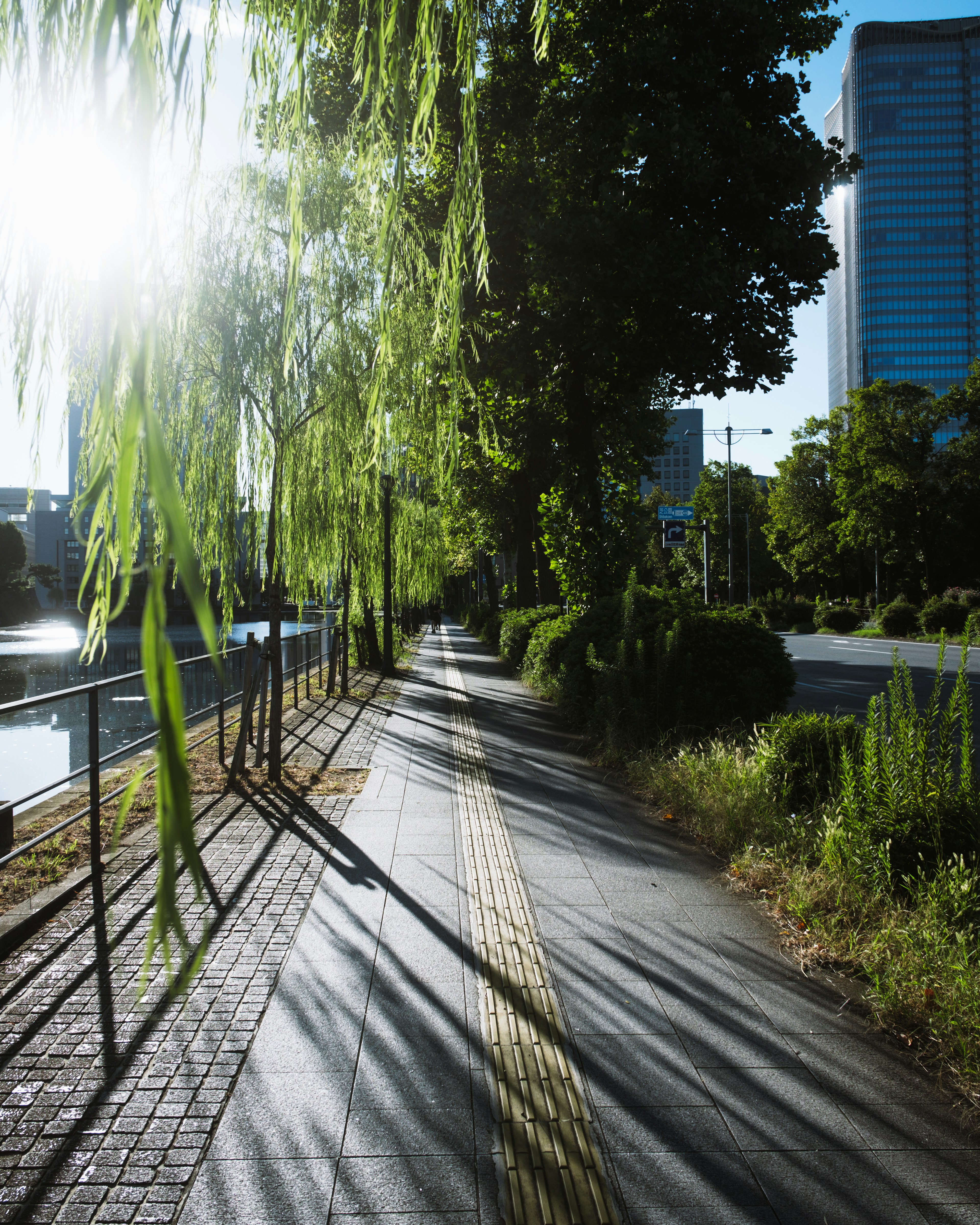 Üppiger Gehweg unter blauem Himmel mit Weiden, die Schatten werfen