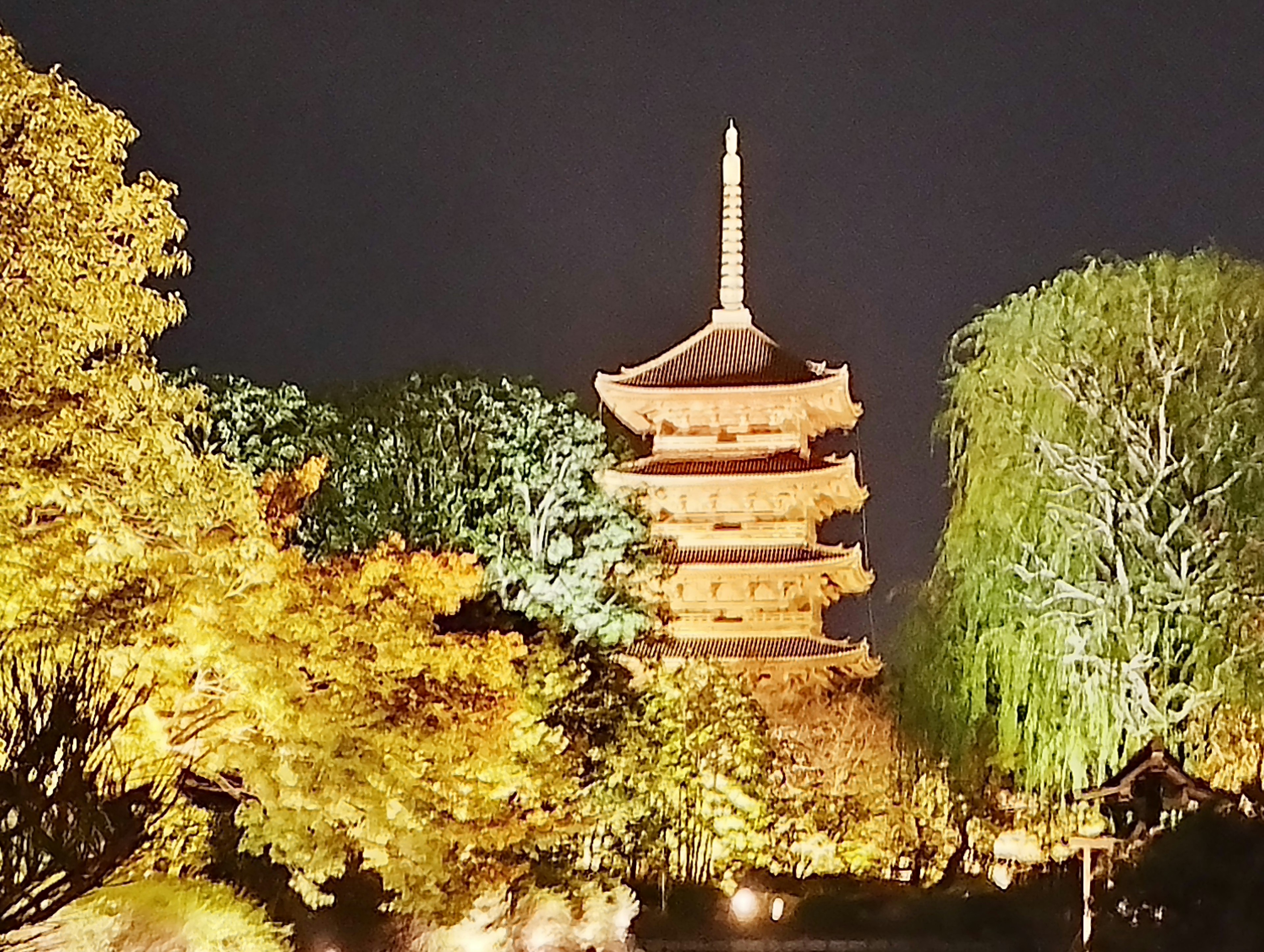 Pagoda de cinco pisos iluminada por la noche rodeada de árboles