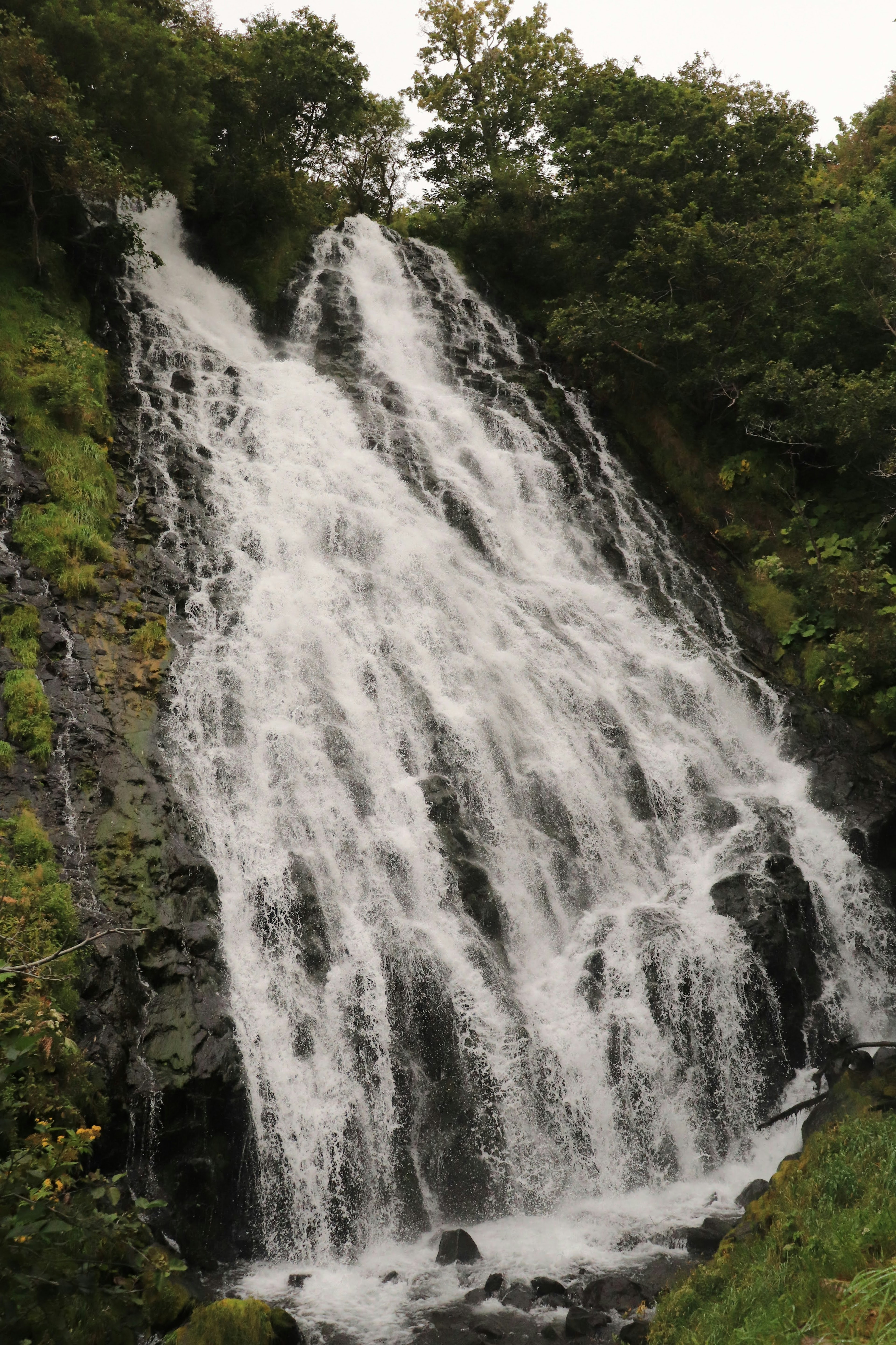 Gambar air terjun yang dikelilingi oleh pepohonan dengan percikan dan permukaan berbatu yang terlihat