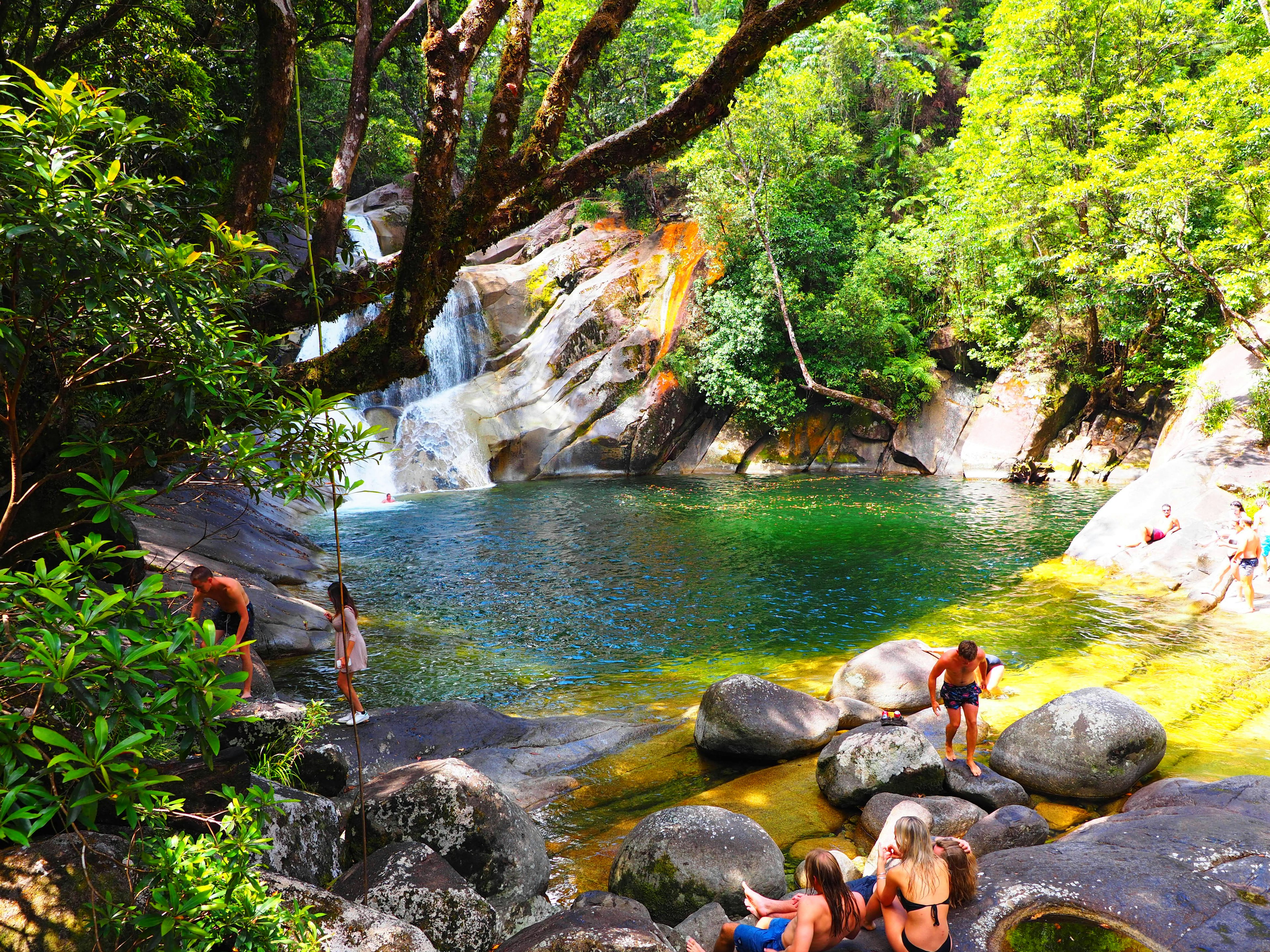 People enjoying a natural swimming hole and waterfall surrounded by lush greenery