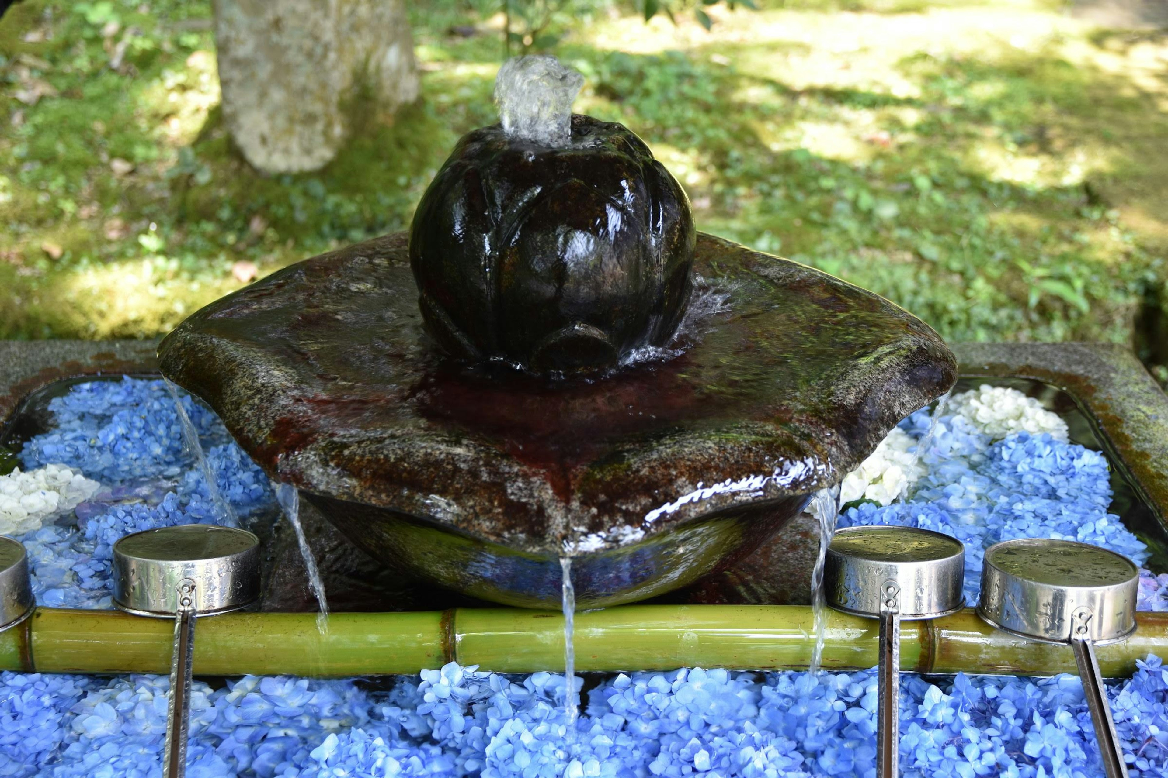 Un bassin d'eau noir entouré de fleurs bleues avec de l'eau qui s'écoule