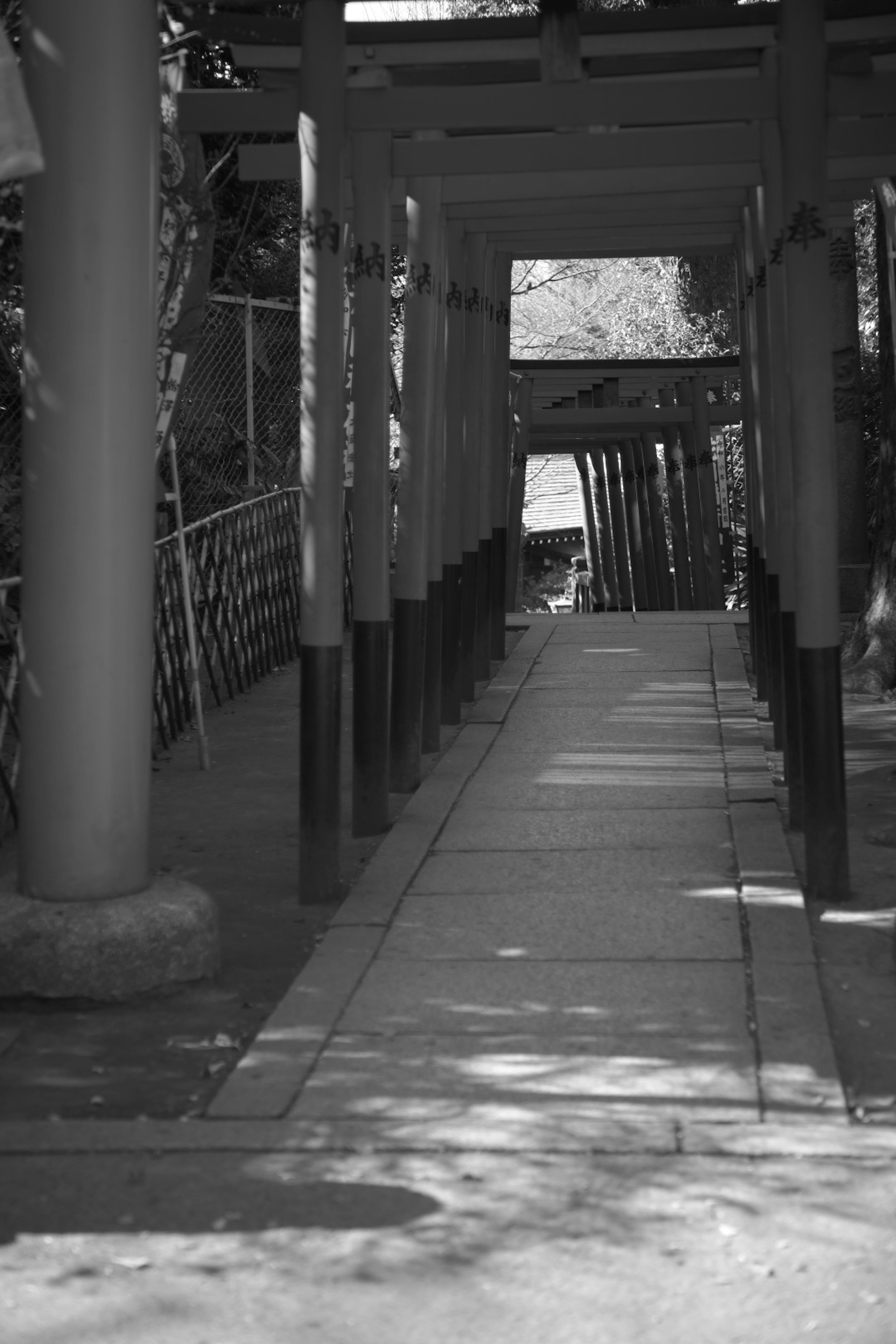 A black and white pathway resembling a tunnel lined with pillars