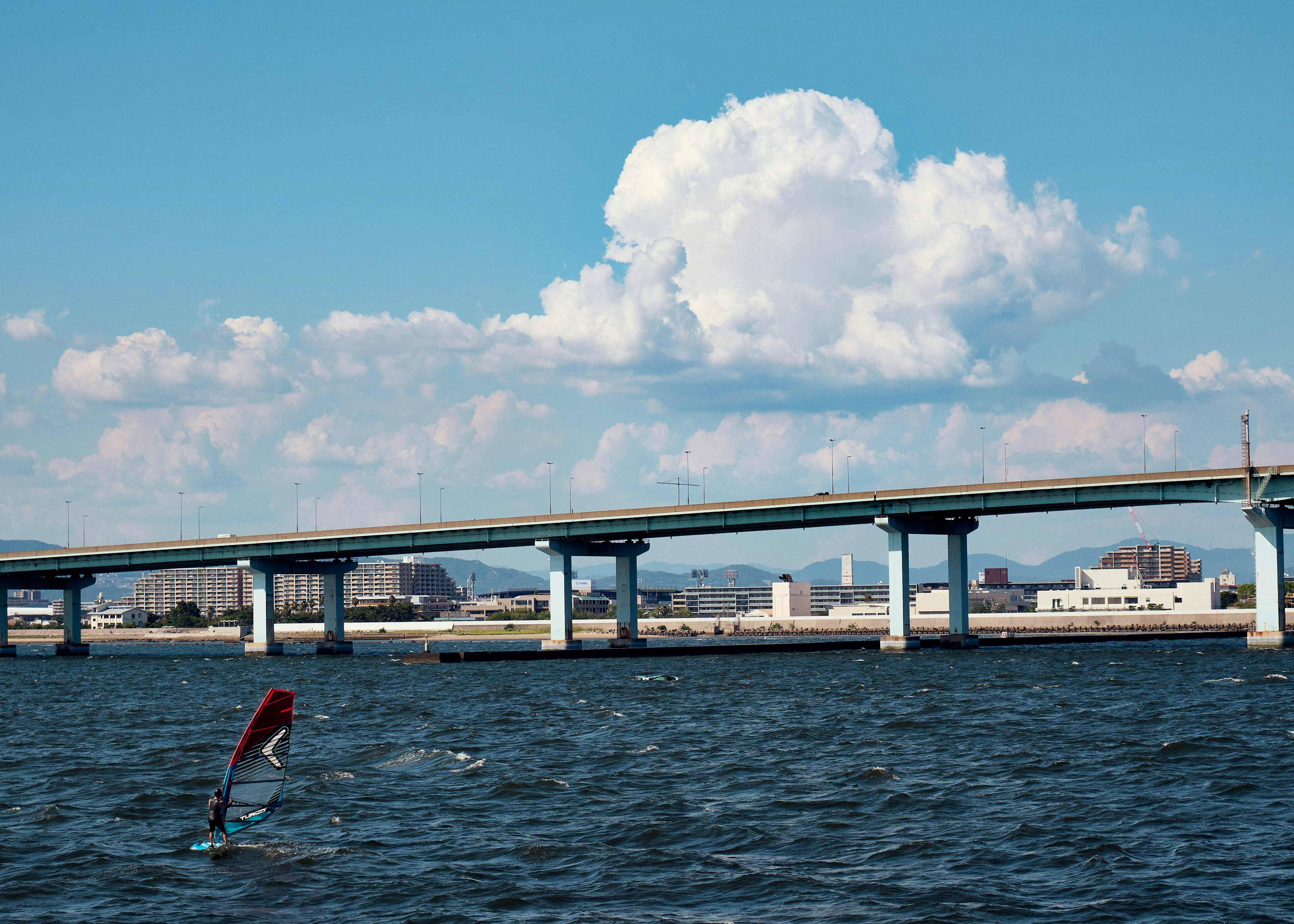 青い空の下に広がる水面と橋を背景にしたウィンドサーフィンのシーン