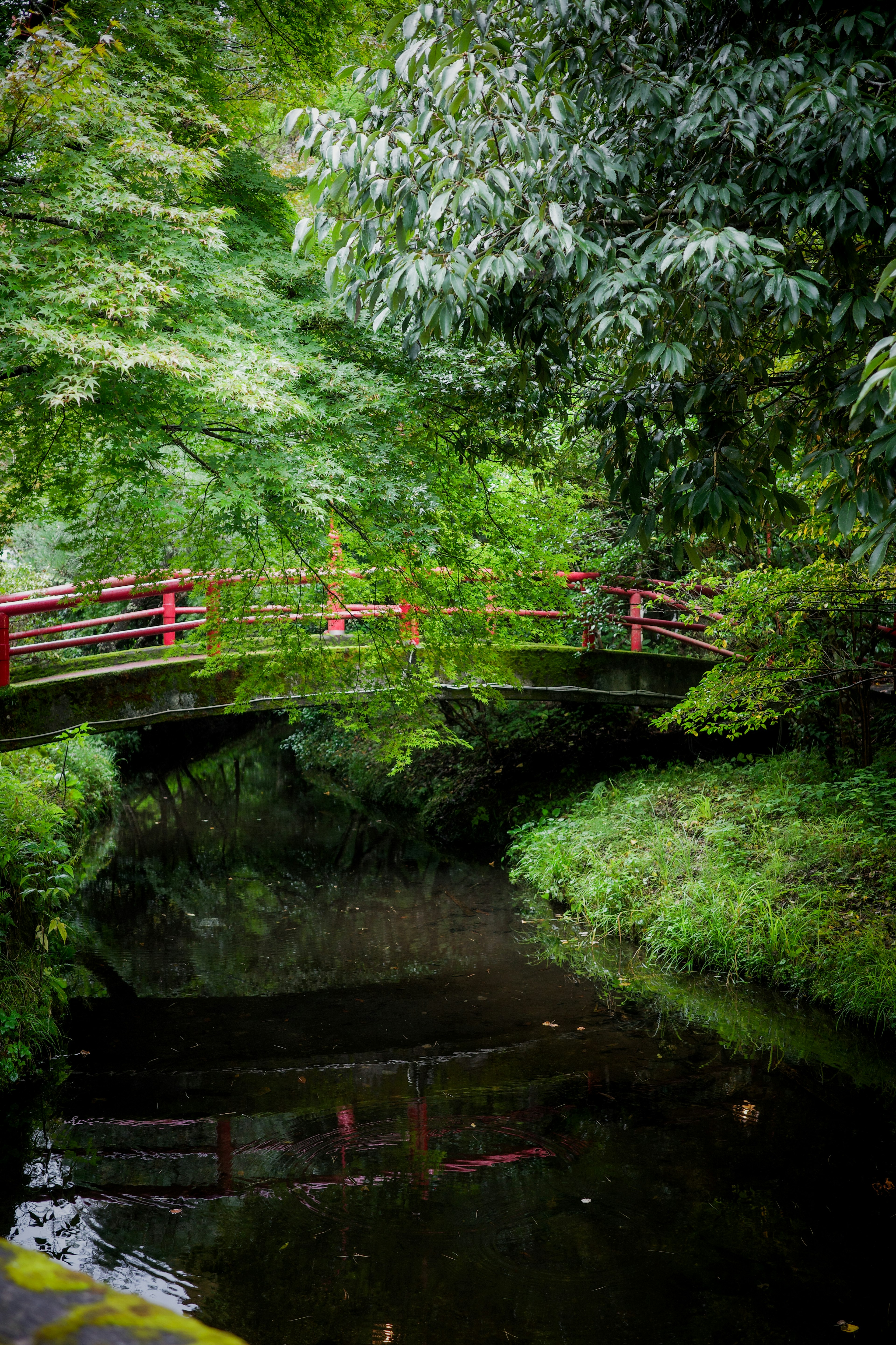 Szene einer roten Brücke über einem Bach, umgeben von üppigem Grün