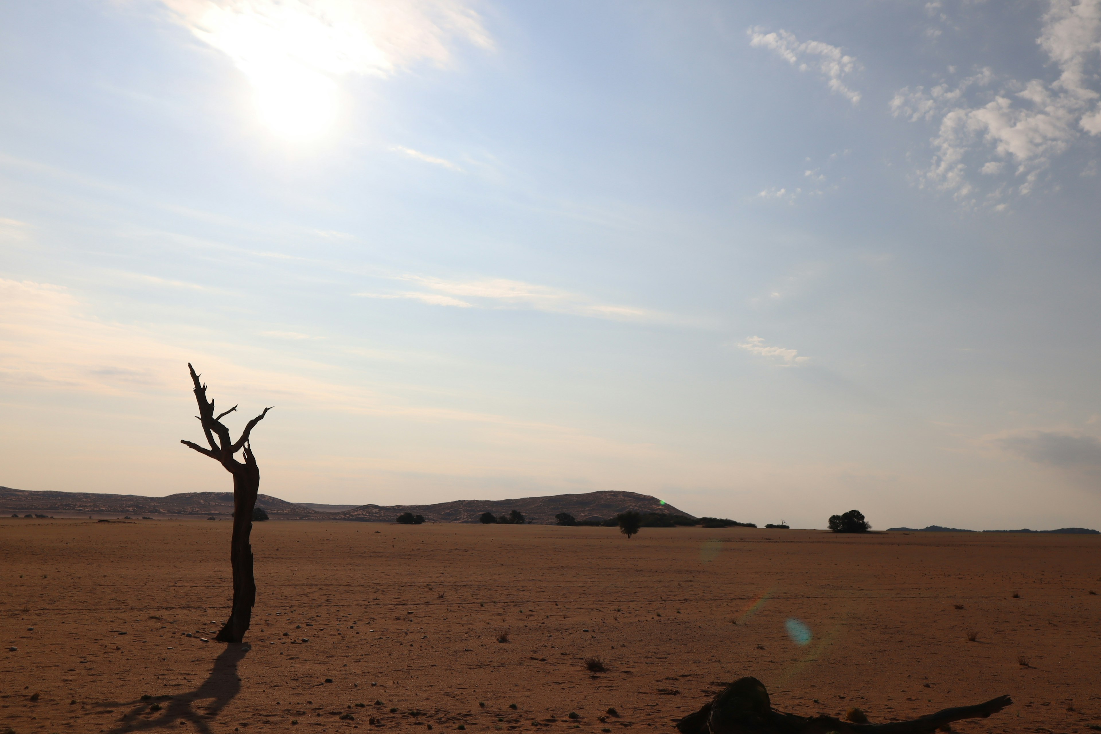 Ödes Land mit einem toten Baum und blauem Himmel