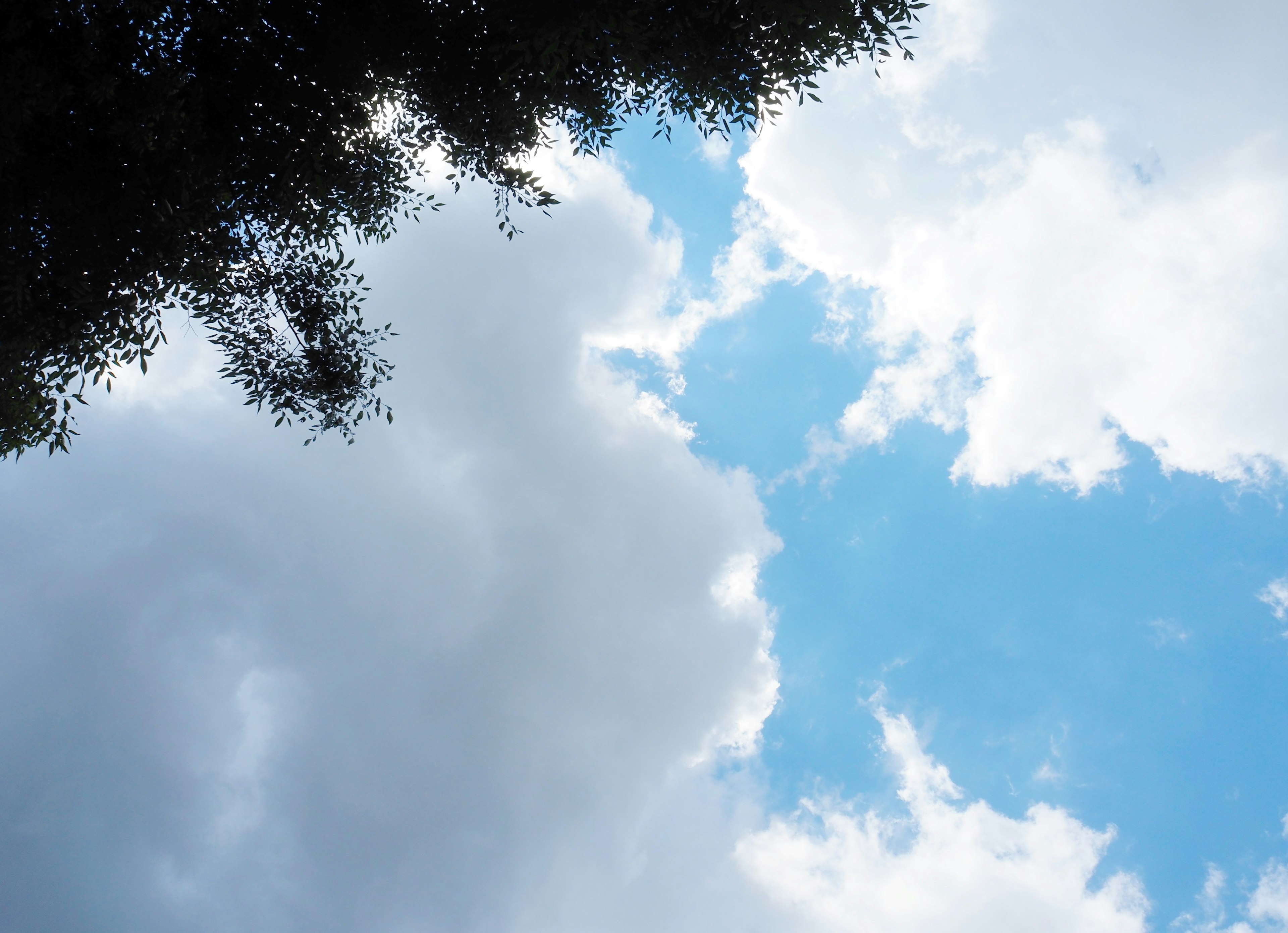 Vue du ciel bleu avec des nuages blancs