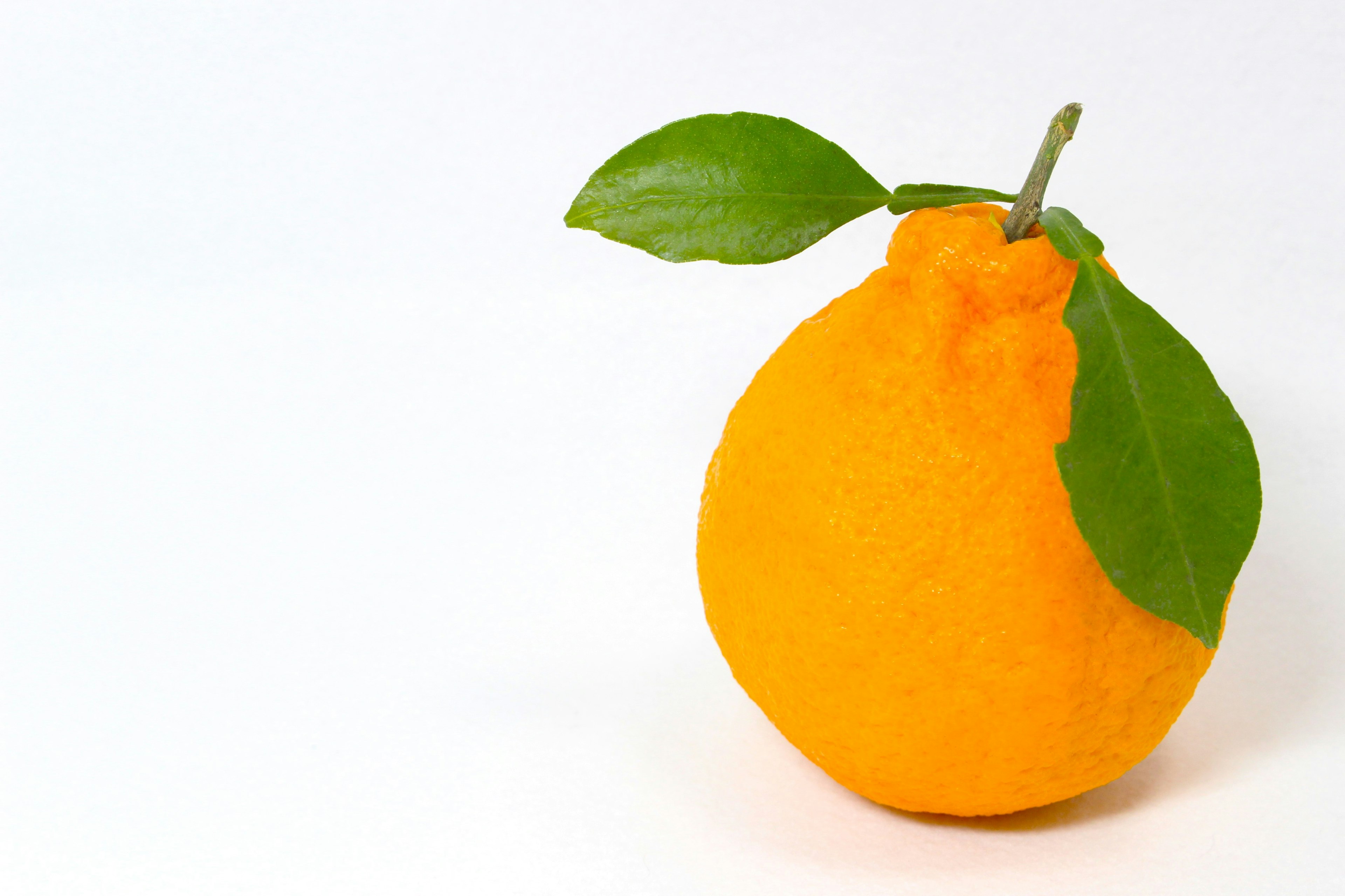 Orange fruit with green leaves attached