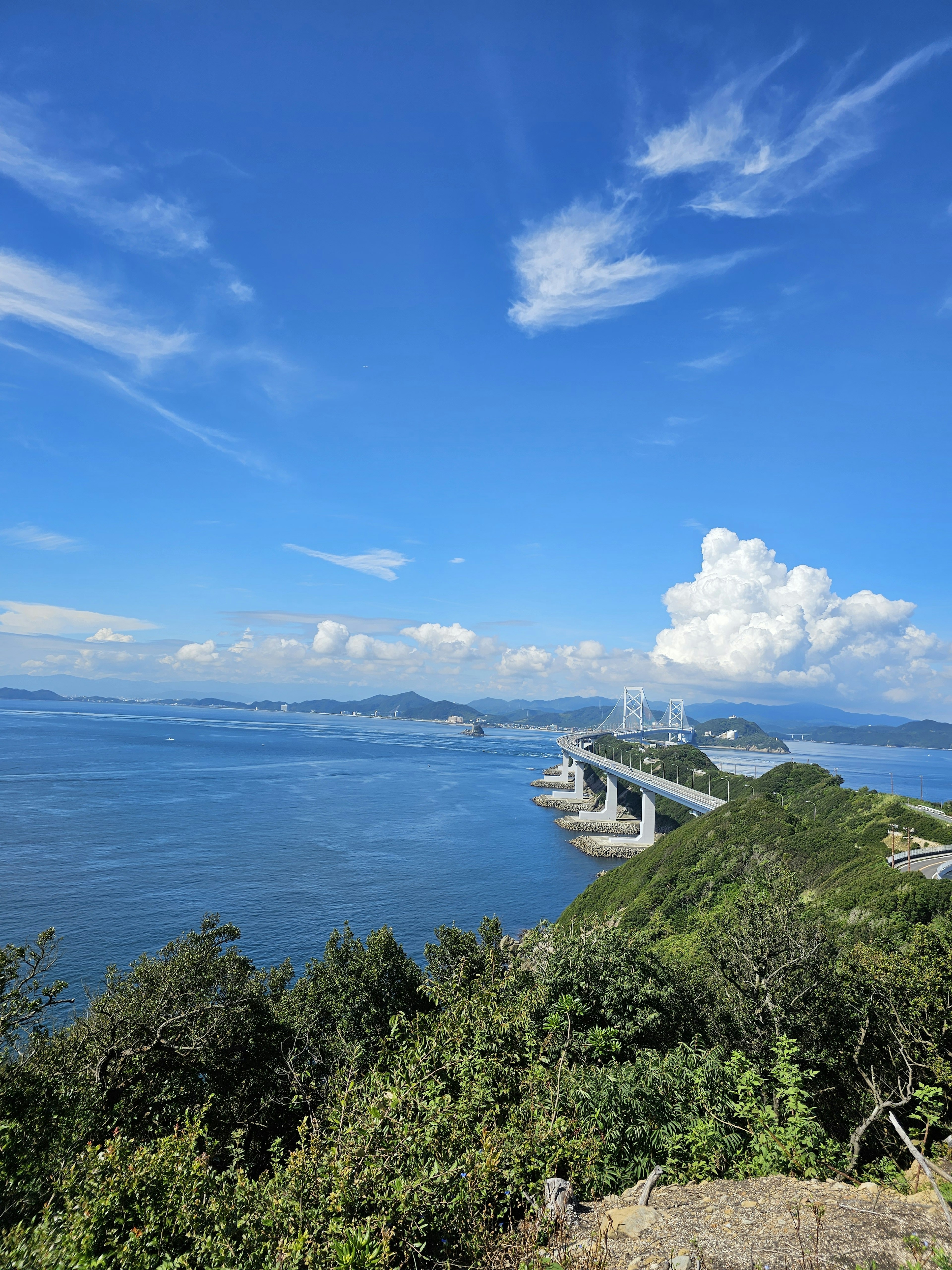 Vue panoramique d'un pont sur l'eau avec un feuillage vert et un ciel bleu