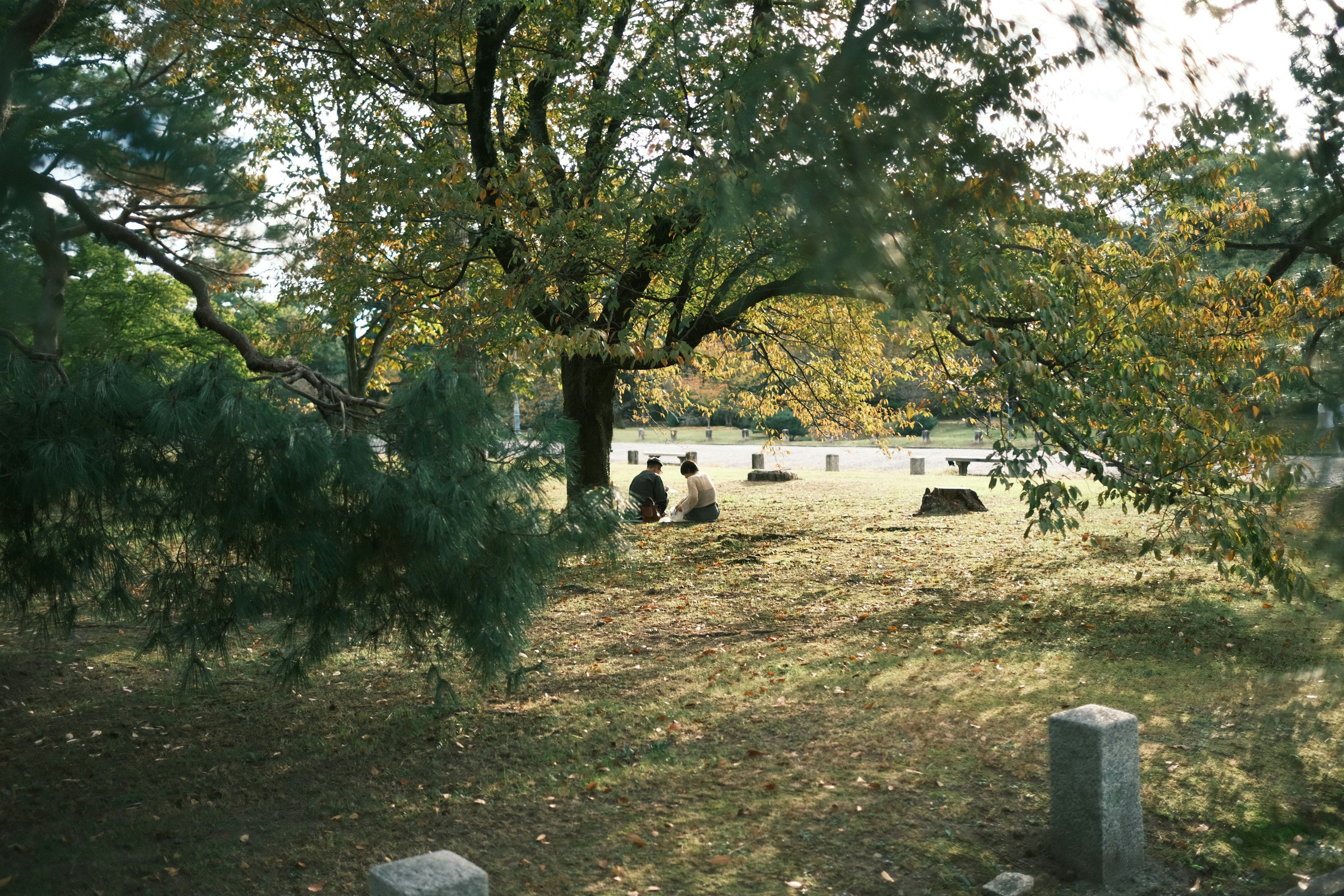 Scène de parc d'automne avec des personnes assises parmi les arbres