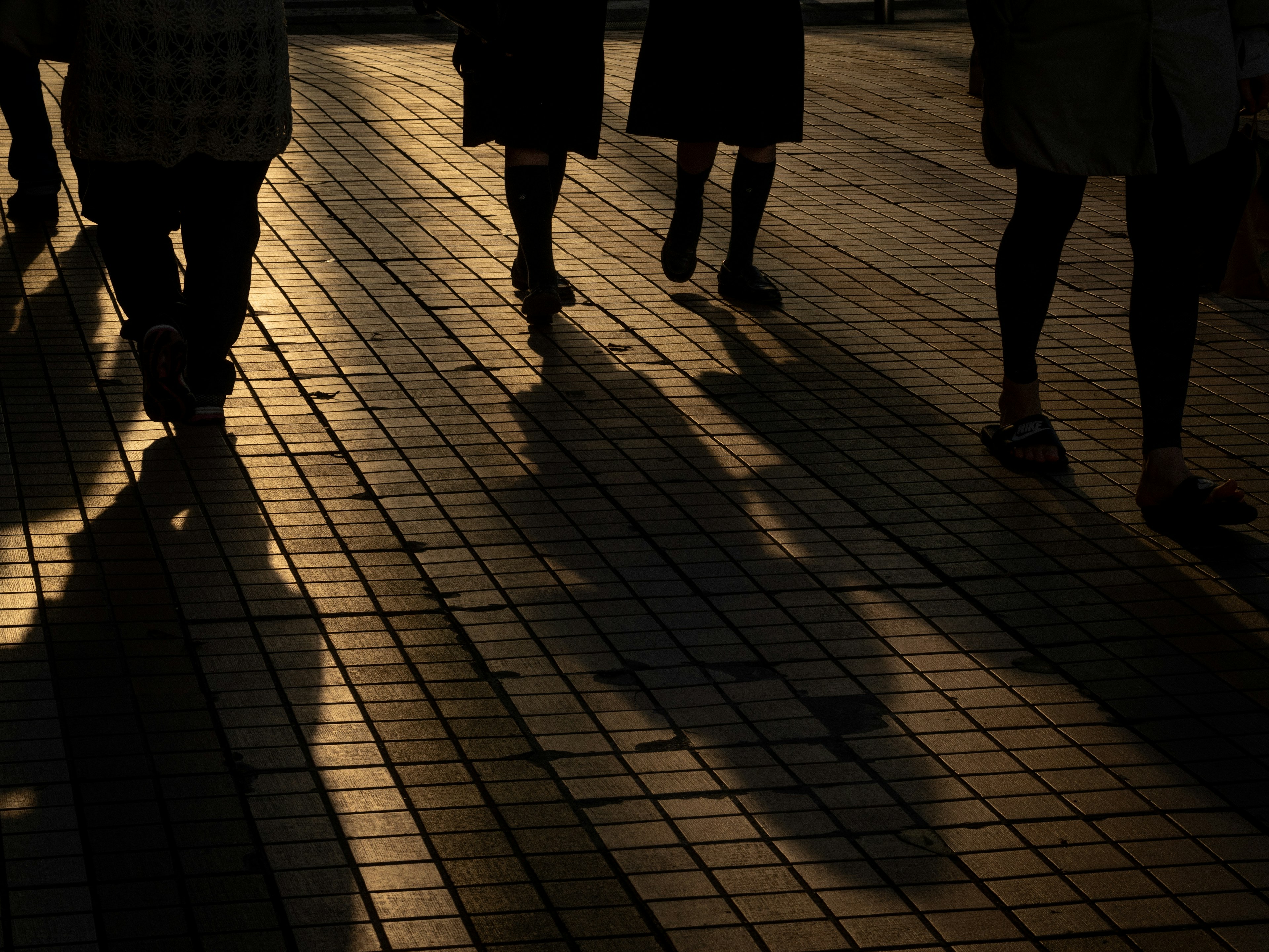 夕暮れ時に歩く人々の影が映る石畳の道