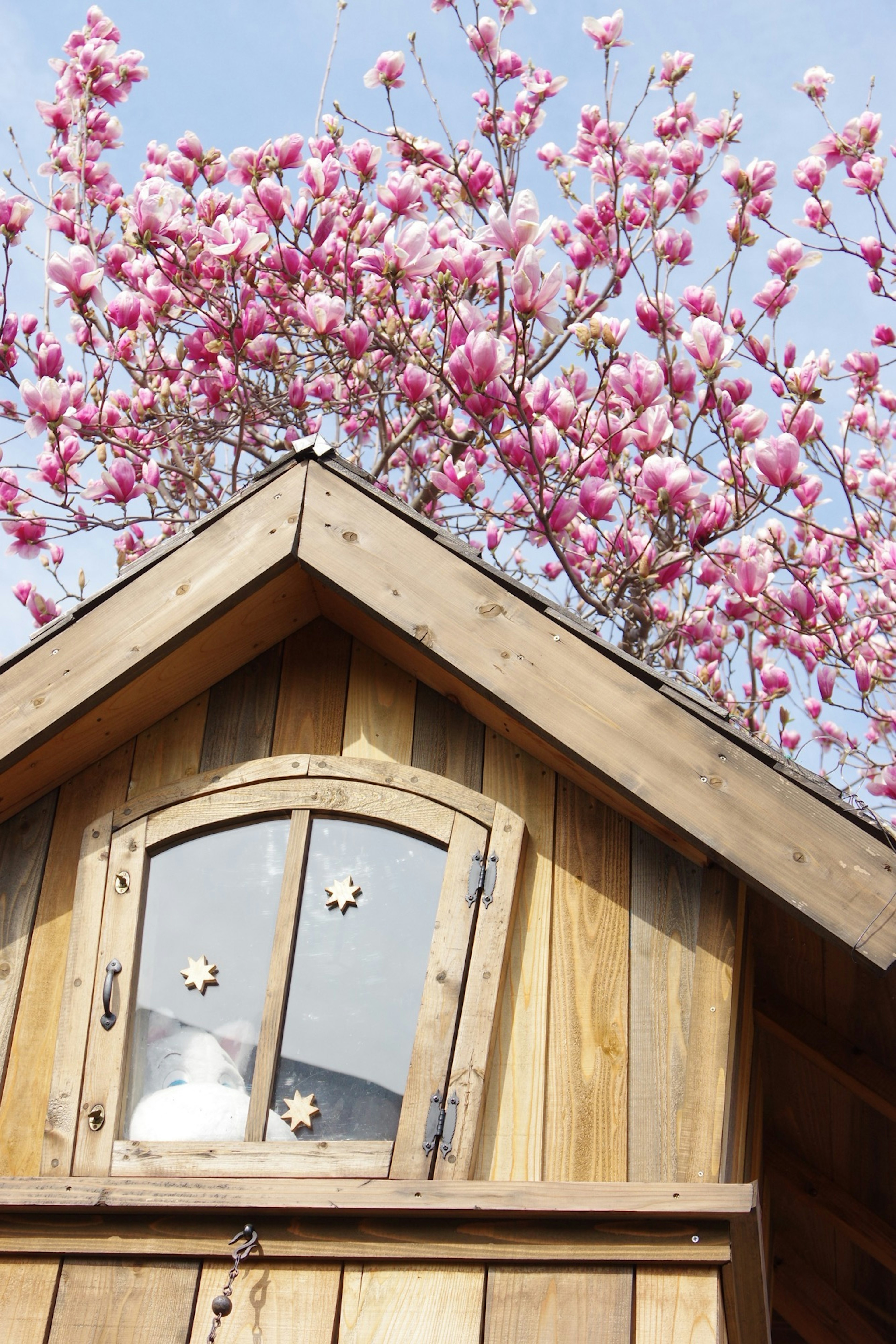 Wooden cabin roof adorned with blooming pink flowers