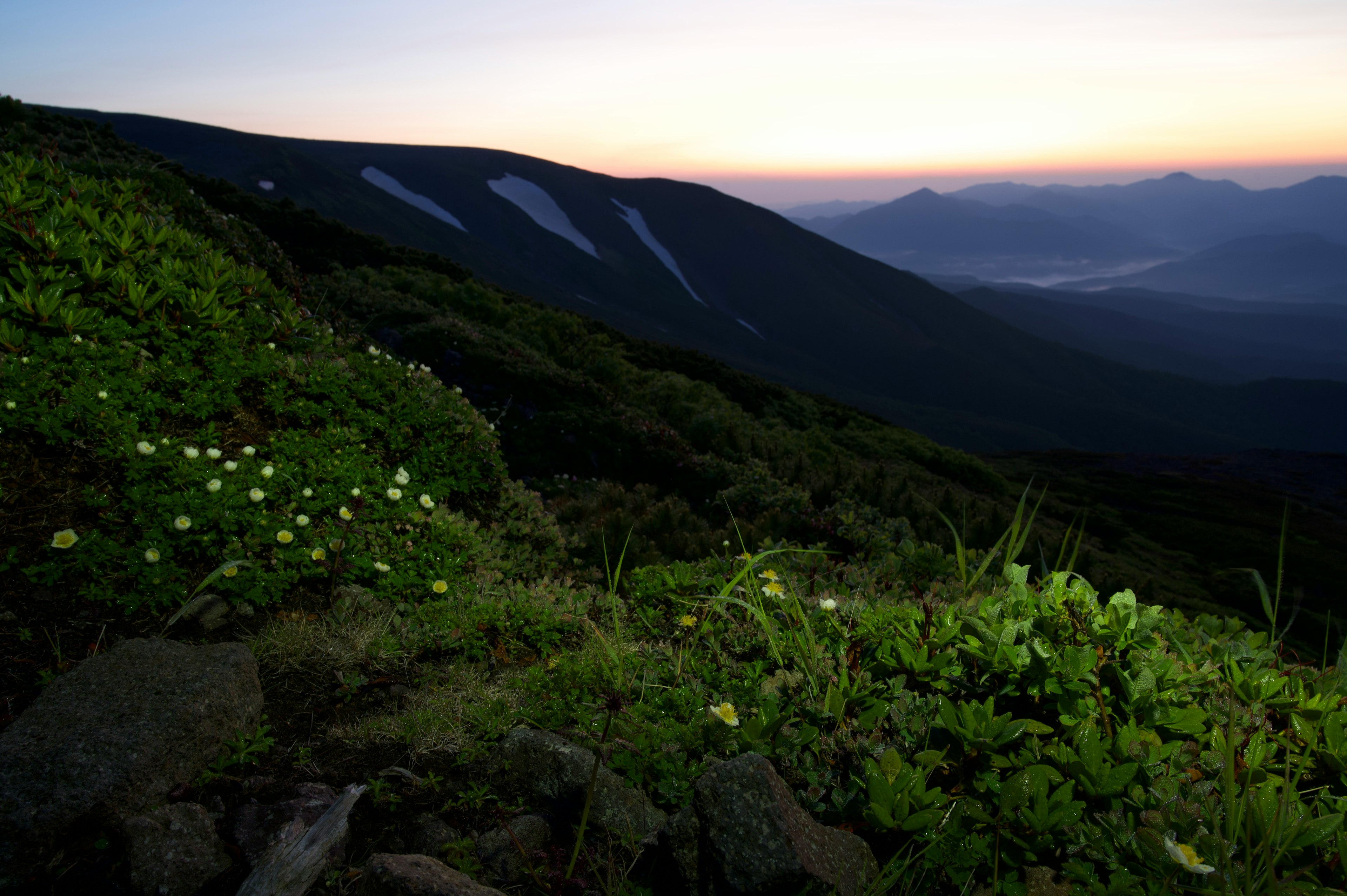 Vue des montagnes au crépuscule avec de la végétation verte