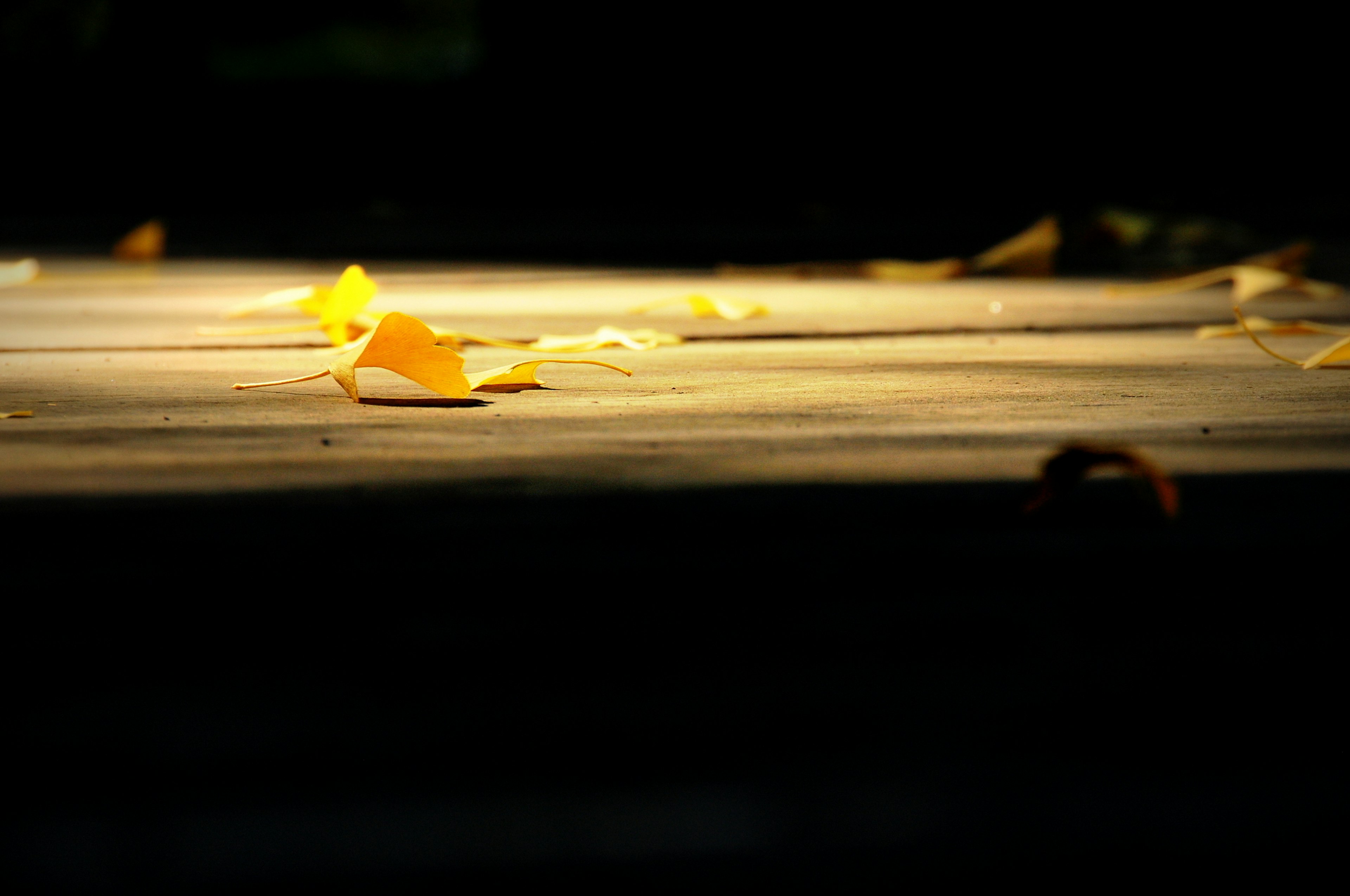 Une scène sereine avec des feuilles jaunes dispersées sur des planches en bois