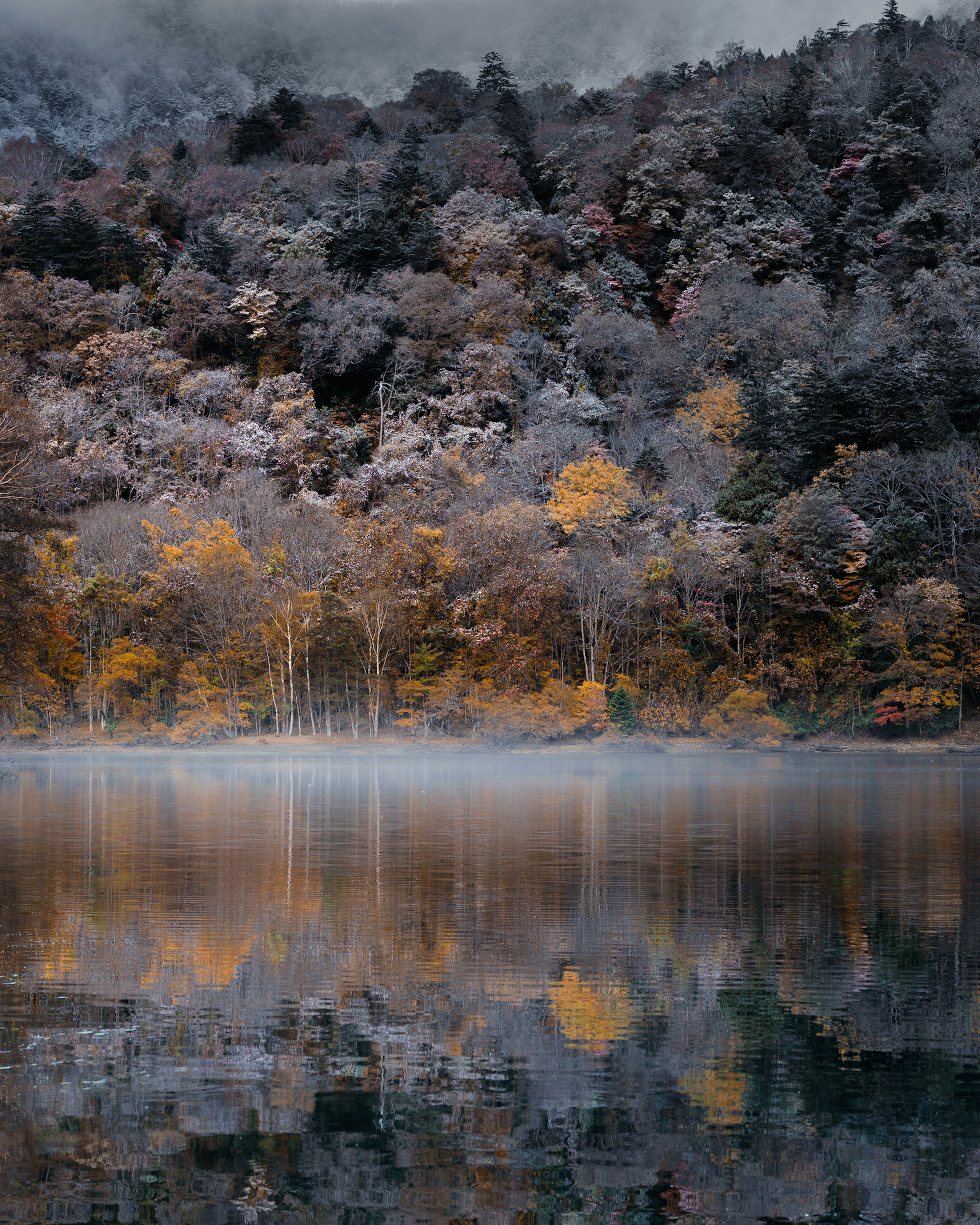 霧がかかった湖と美しい秋の木々の反射がある風景