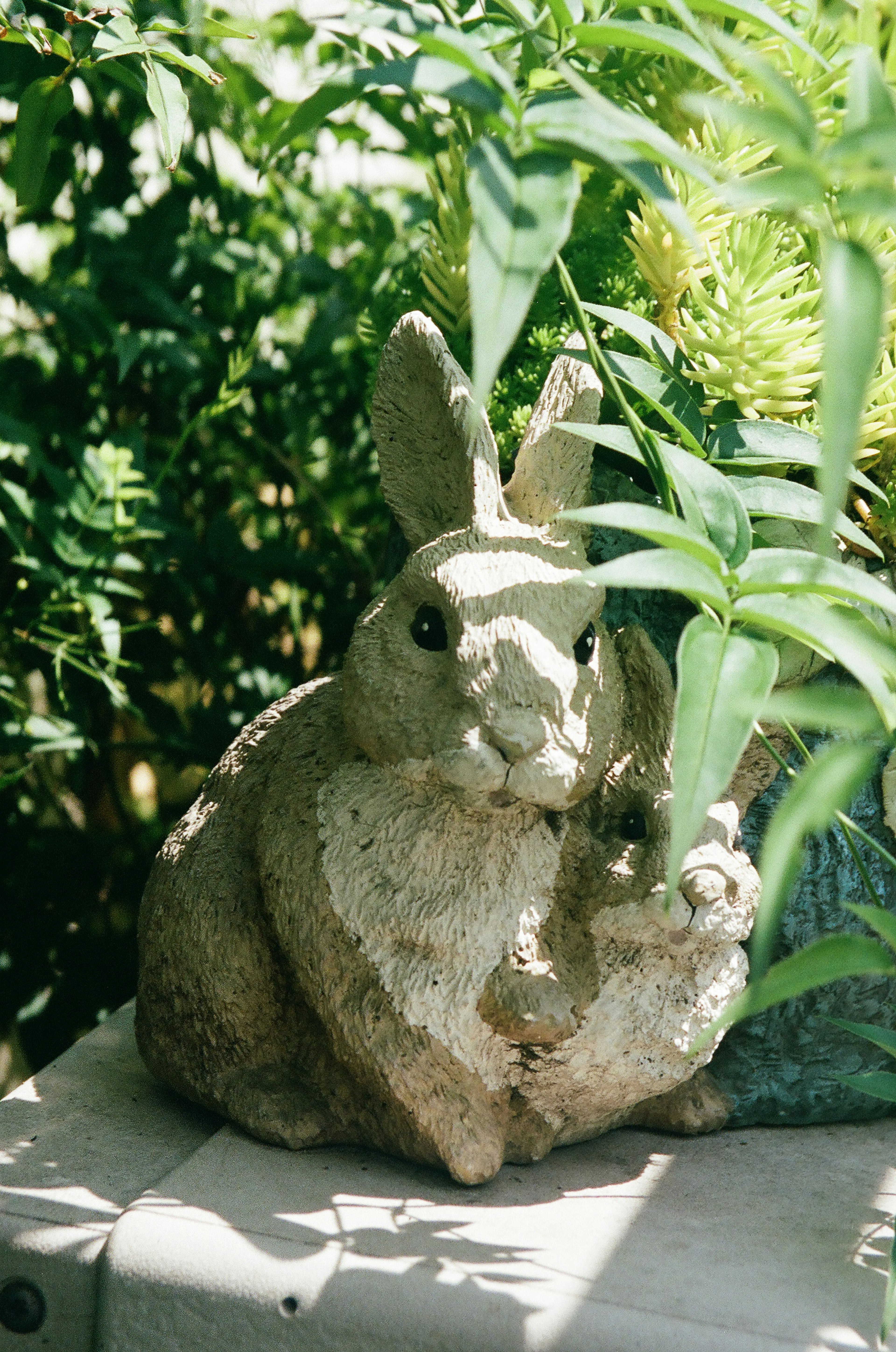 Stone rabbit statue surrounded by green plants in a garden