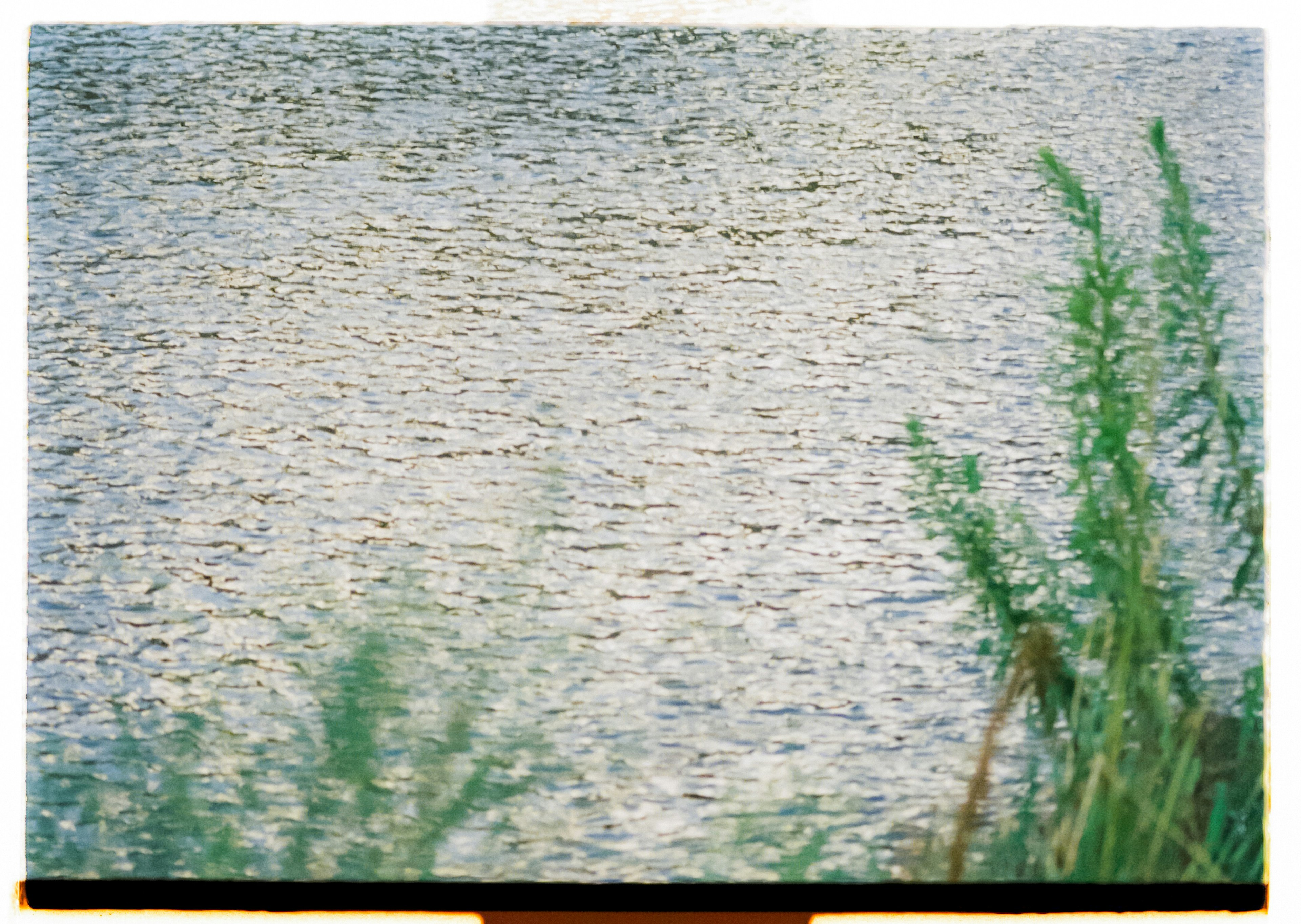 Superficie d'acqua calma che riflette la luce con erba verde