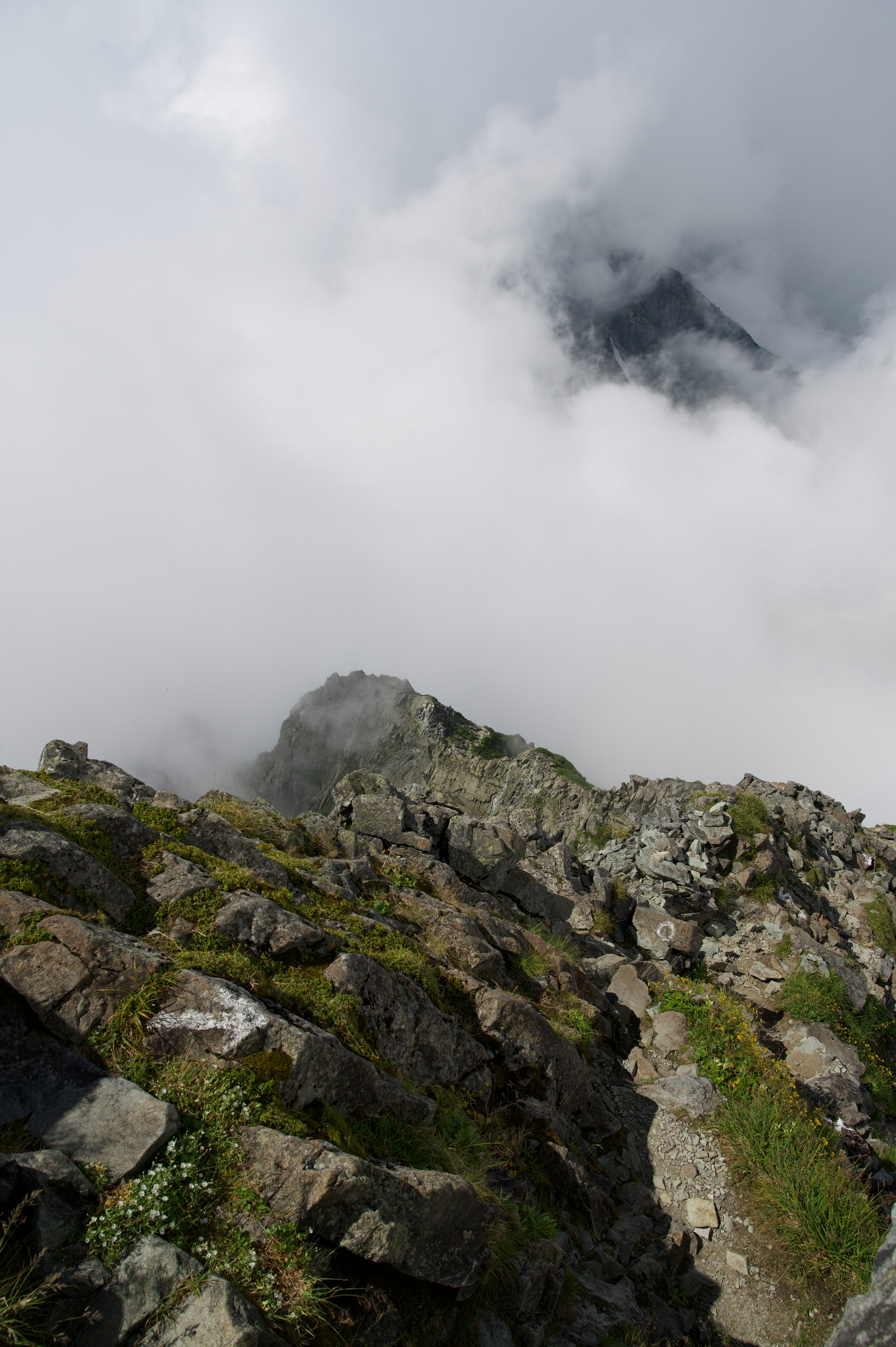 被雲霧籠罩的山景 特色岩石地形和綠色草地