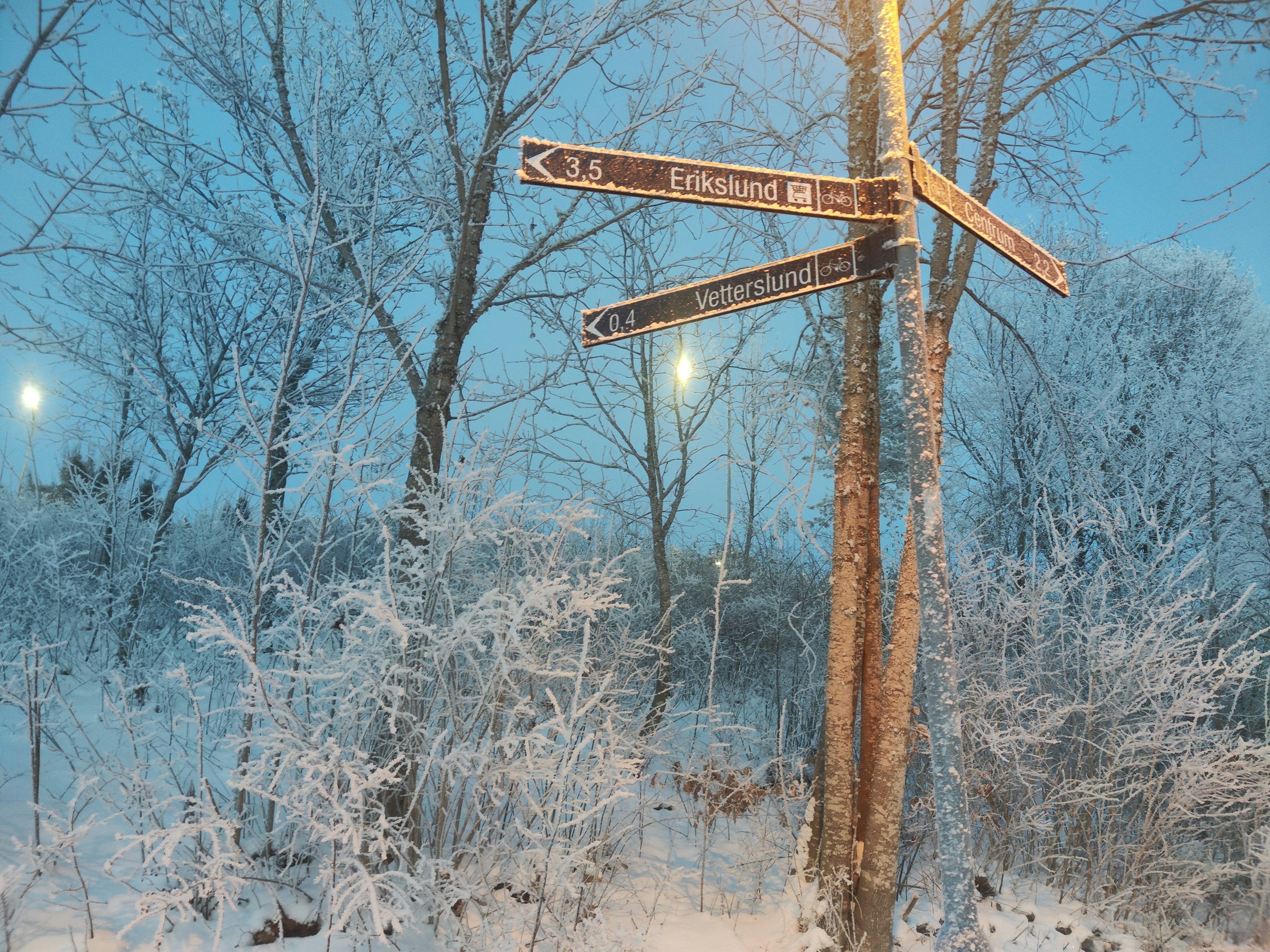 Snow-covered signpost with a blue sky backdrop