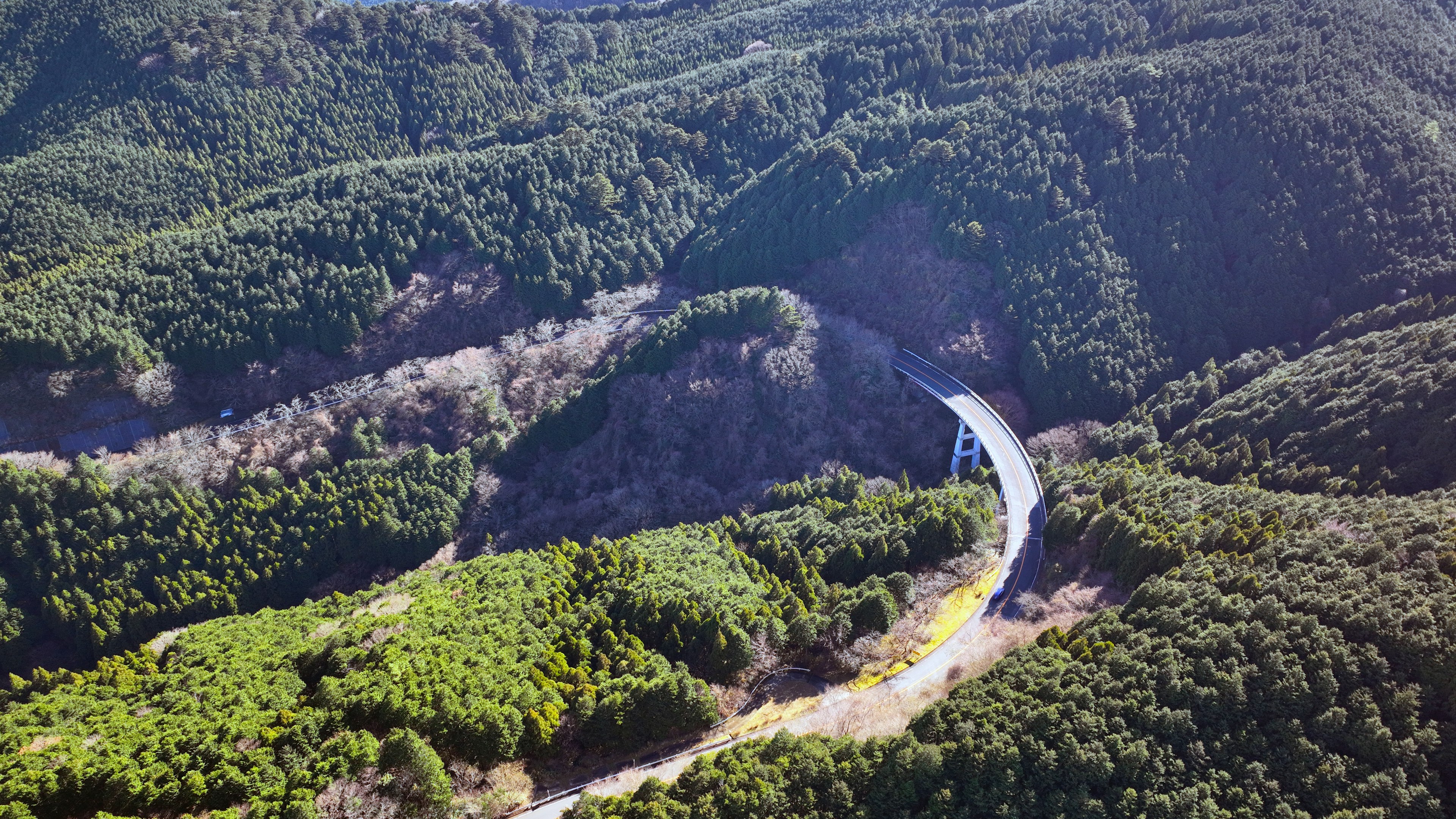 被绿色山丘环绕的蜿蜒道路的鸟瞰图