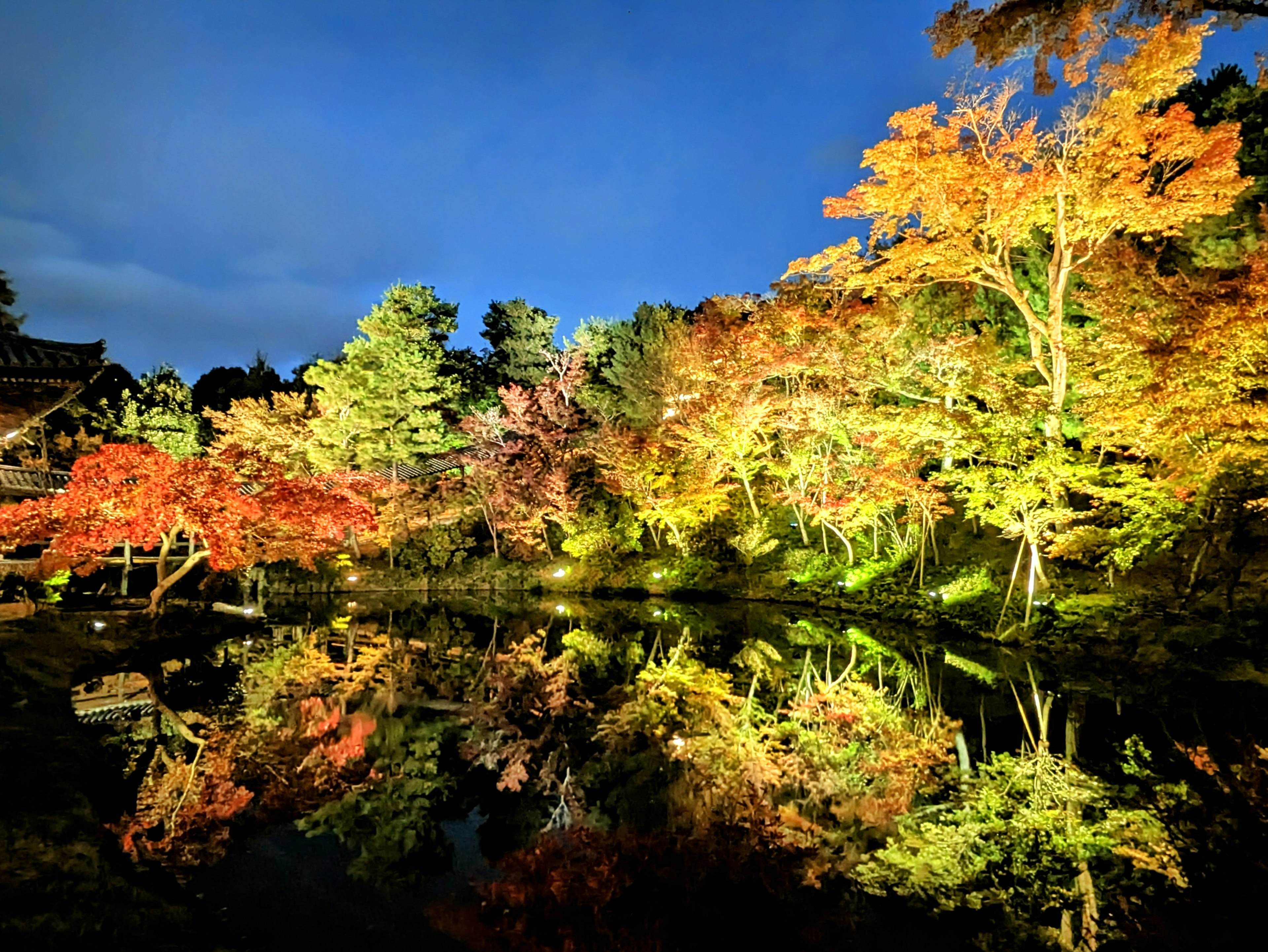 Un beau jardin la nuit mettant en valeur un feuillage d'automne vibrant et son reflet dans l'étang