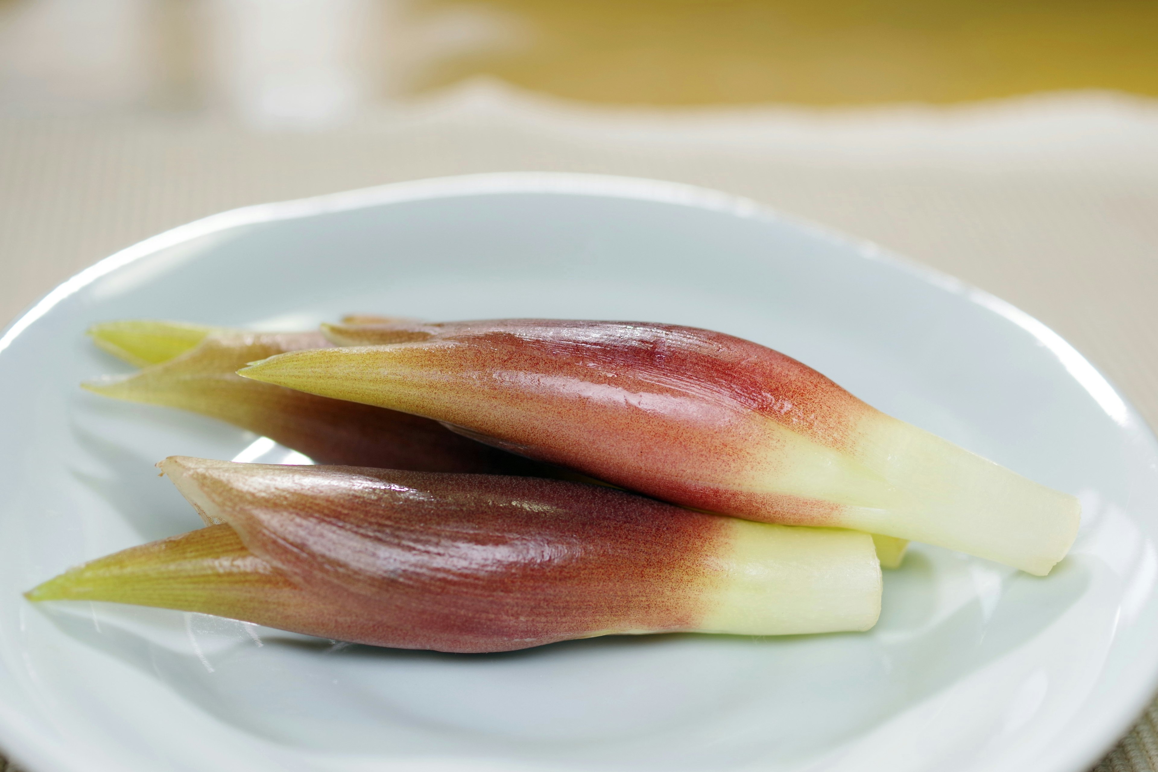 Brotos de jengibre fresco en un plato blanco