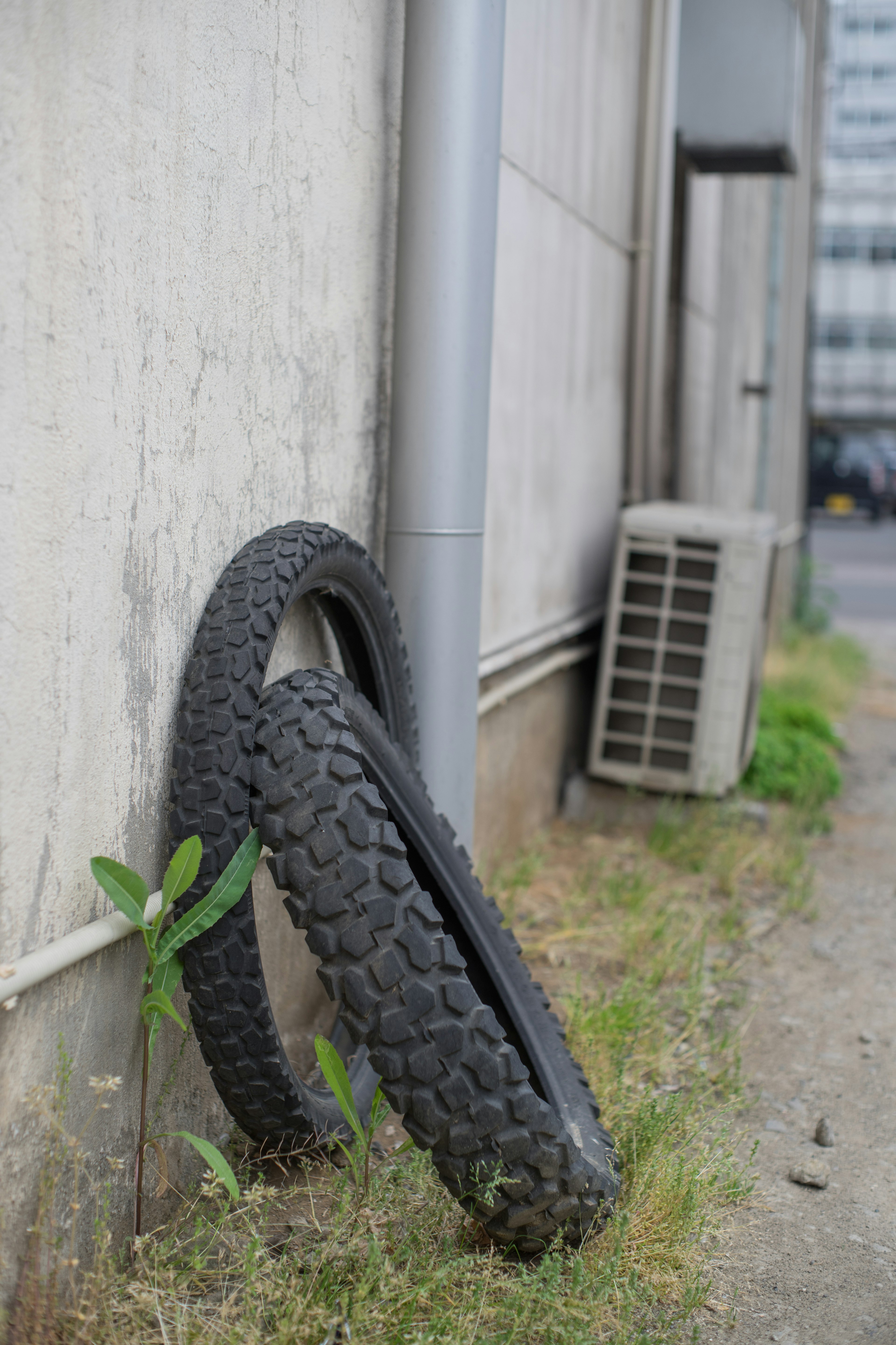 壁際に寄りかかる二つの古いタイヤと周囲の草