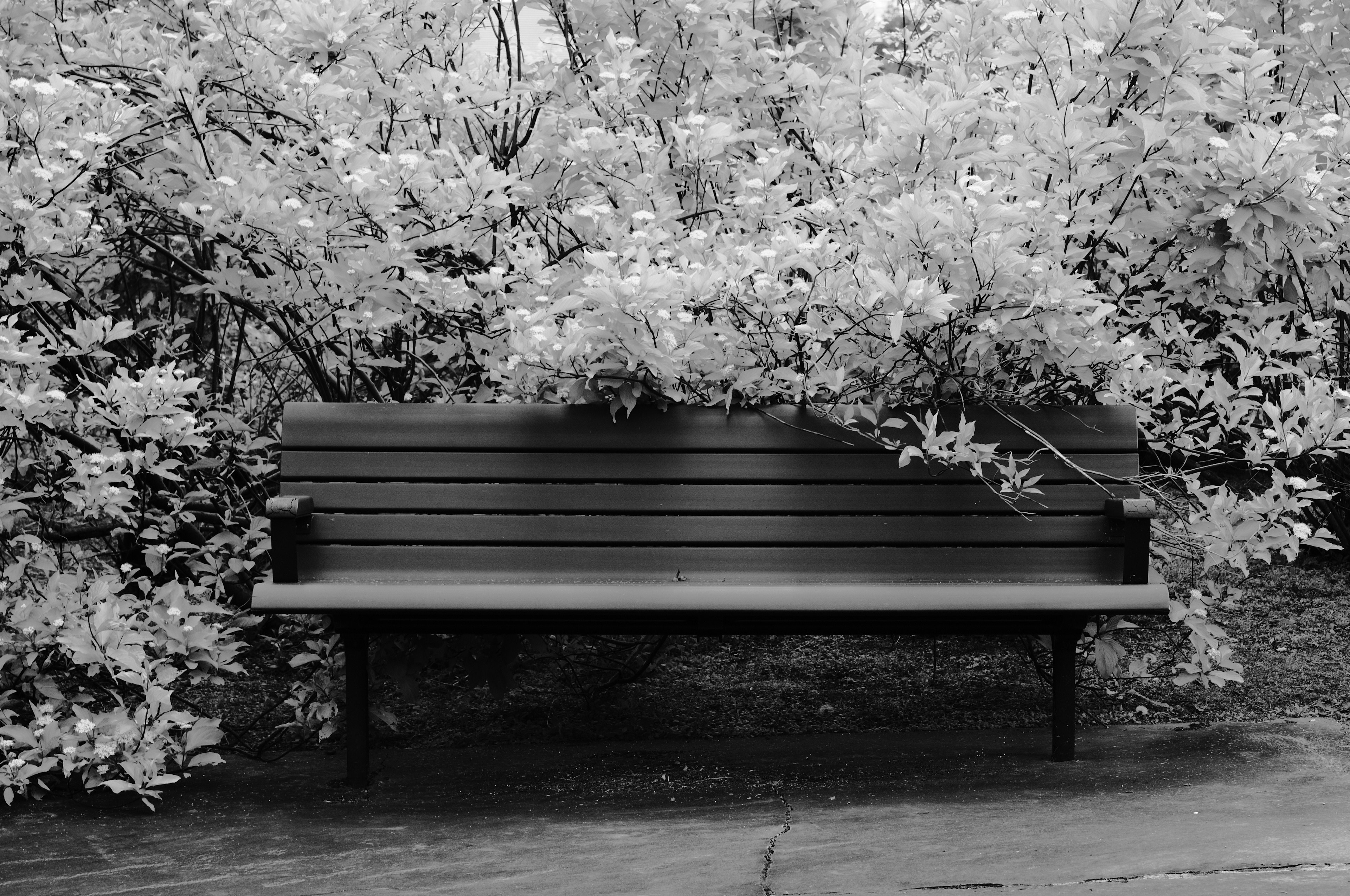 photo-R0K7Cjj22khx48jNVITh-image
