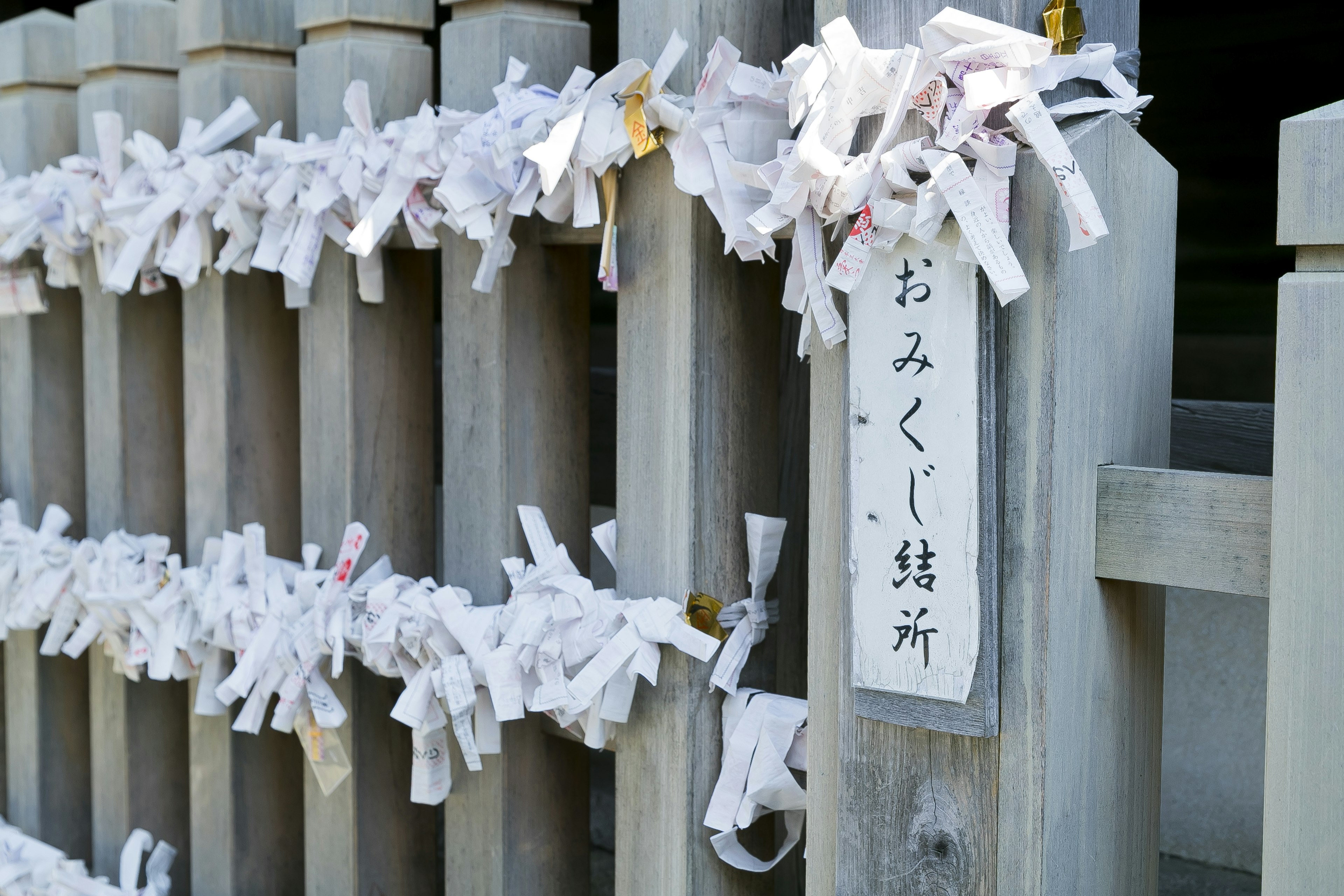 Glücksbriefe, die an einem Schrein gebunden sind weiße Omikuji hängen an Holzpfählen