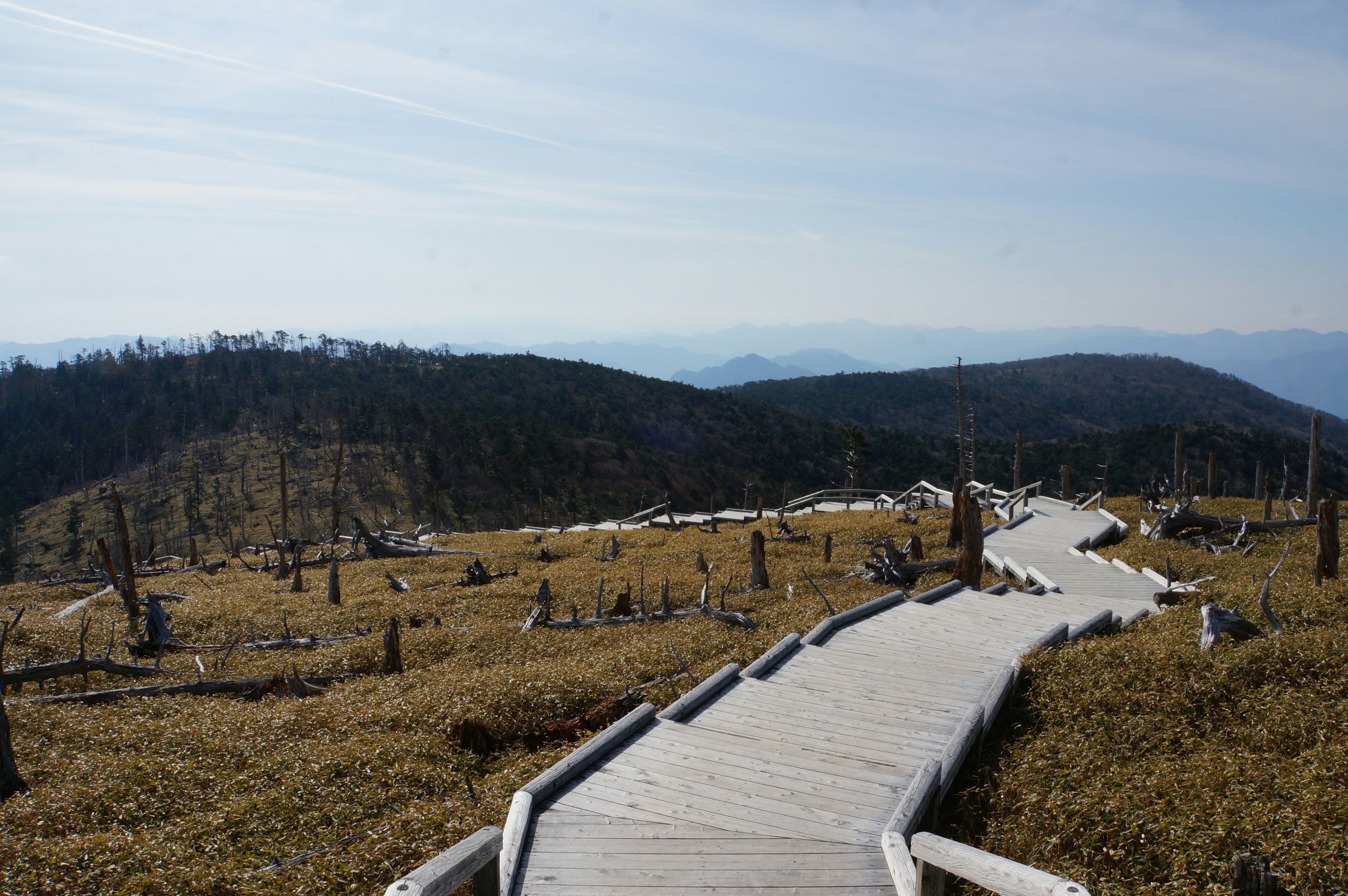 Scenic view of a wooden path winding through a grassy landscape