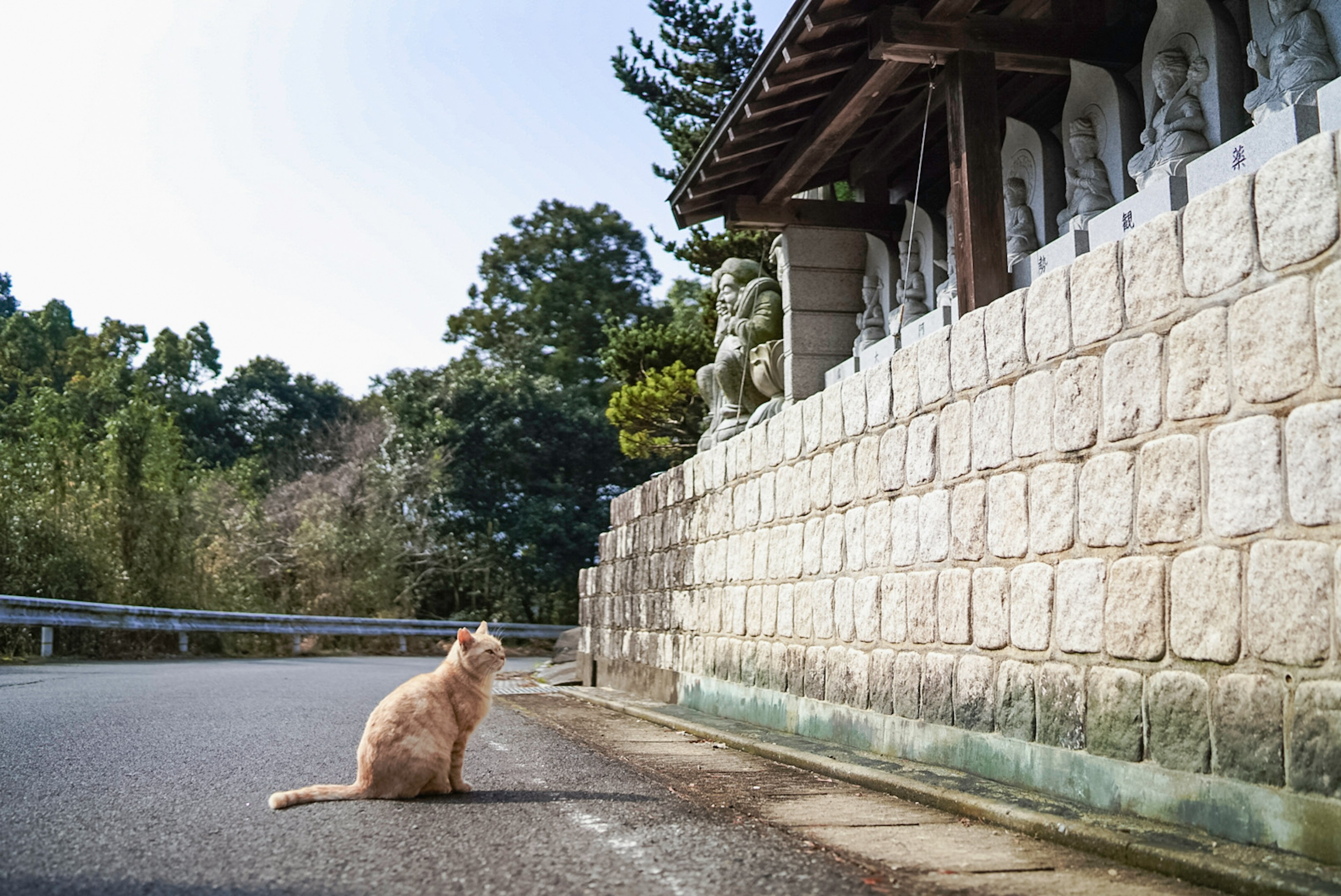 Un chat assis devant un mur en pierre avec des statues d'un temple