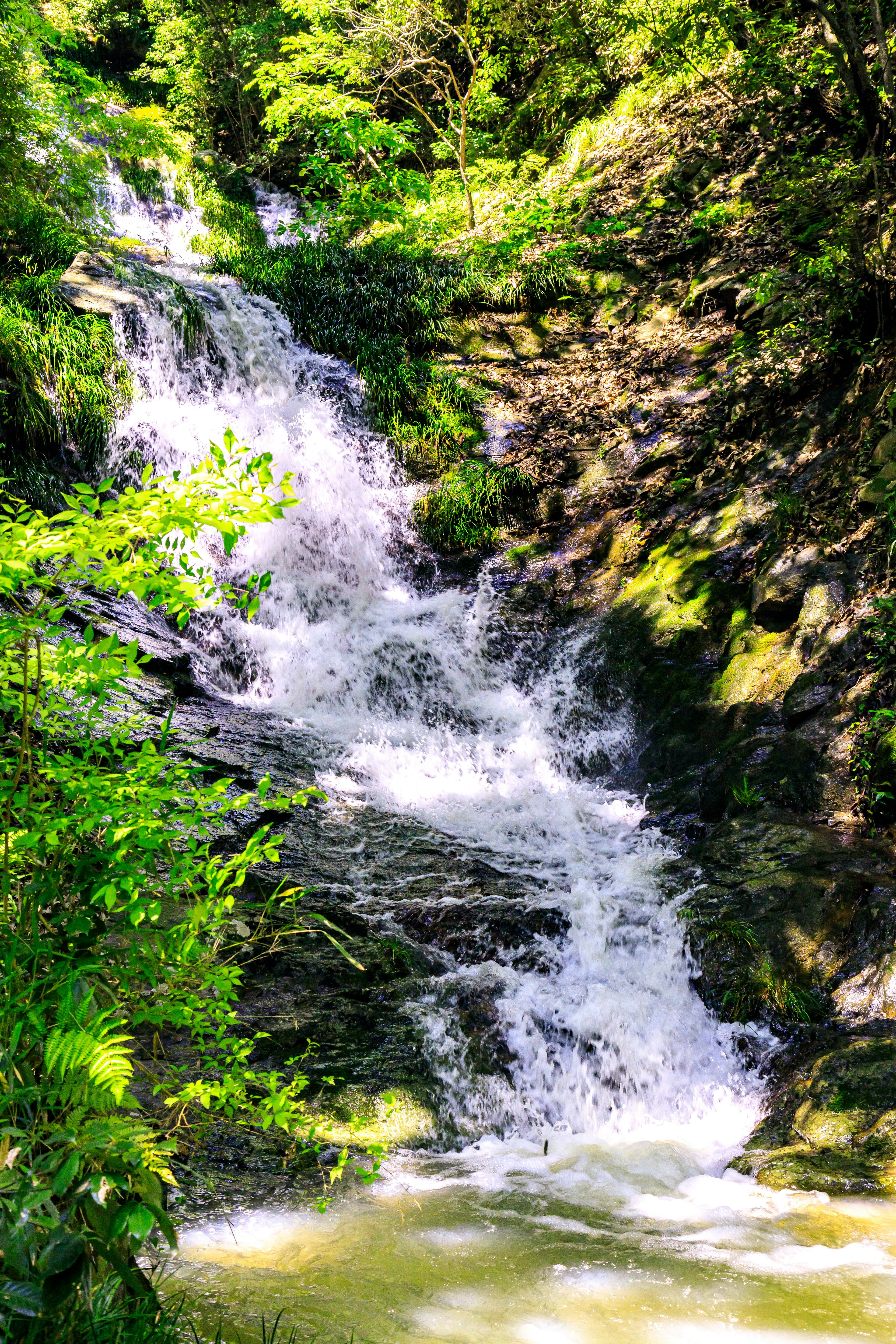 Una vista escénica de una pequeña cascada fluyendo entre una vegetación exuberante