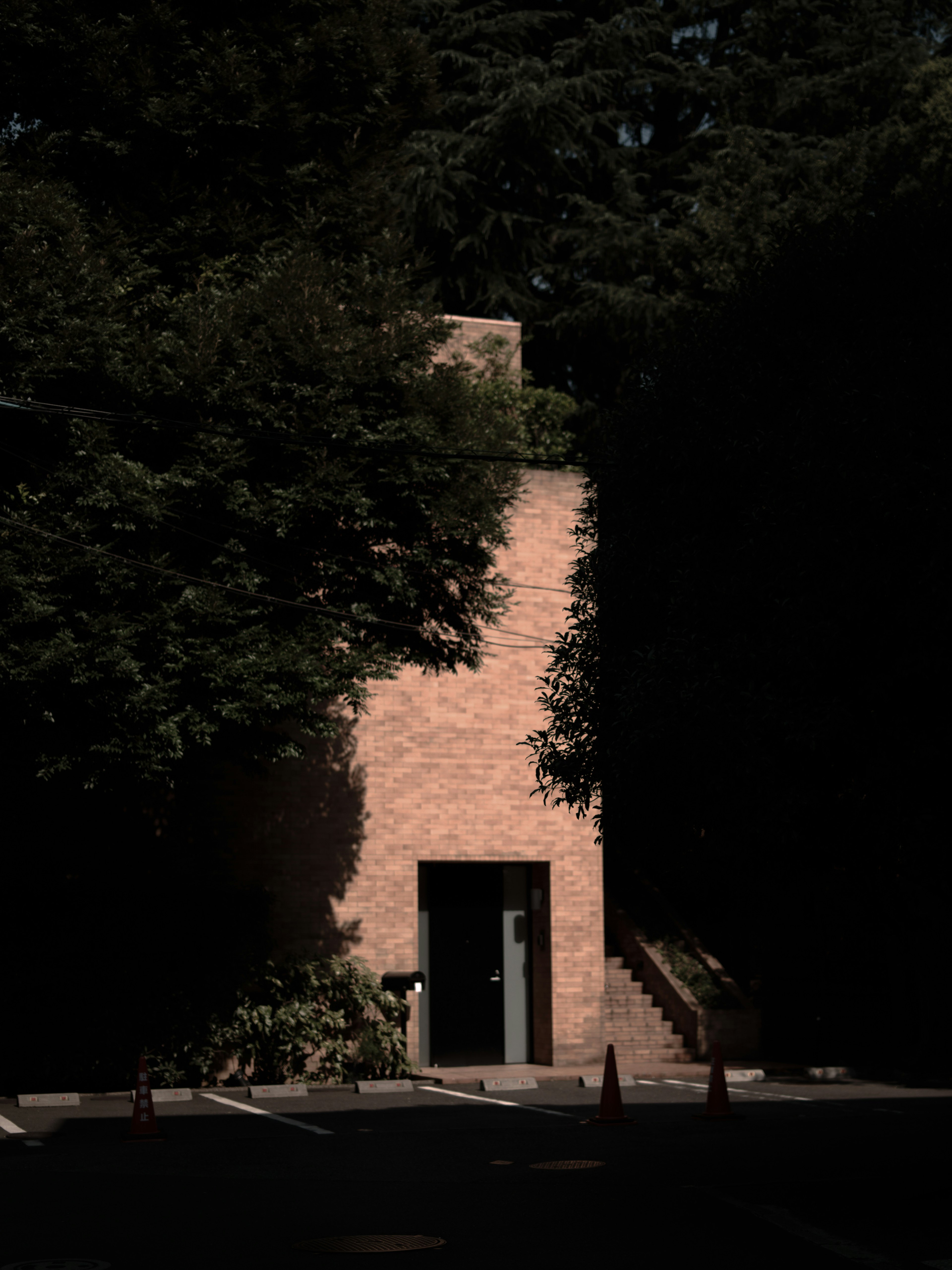 Entrada de un edificio de ladrillo rodeada de follaje oscuro