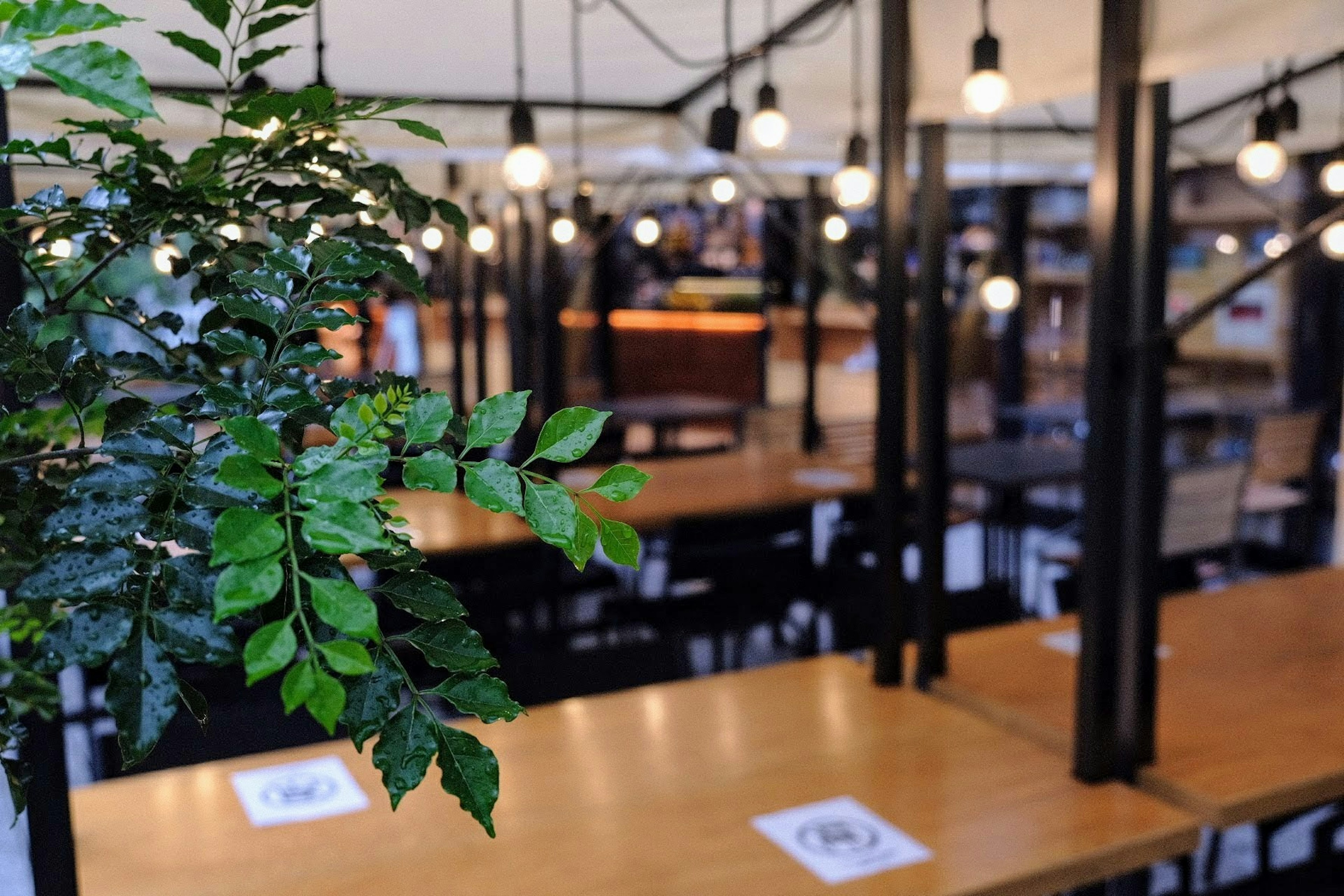 Intérieur de café avec des feuilles vertes et des ampoules suspendues au-dessus de tables en bois