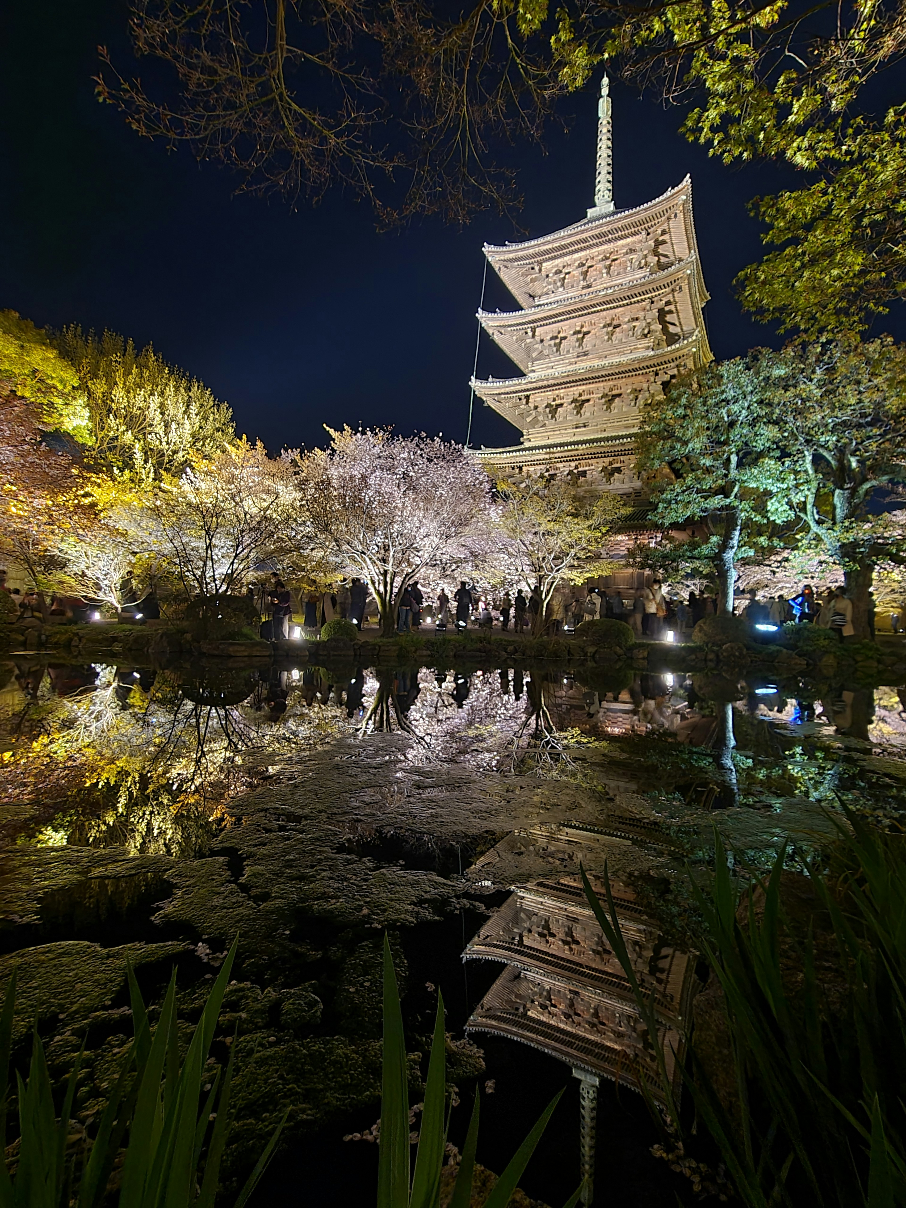 Pemandangan malam pagoda lima lantai yang terpantul di kolam dikelilingi bunga sakura