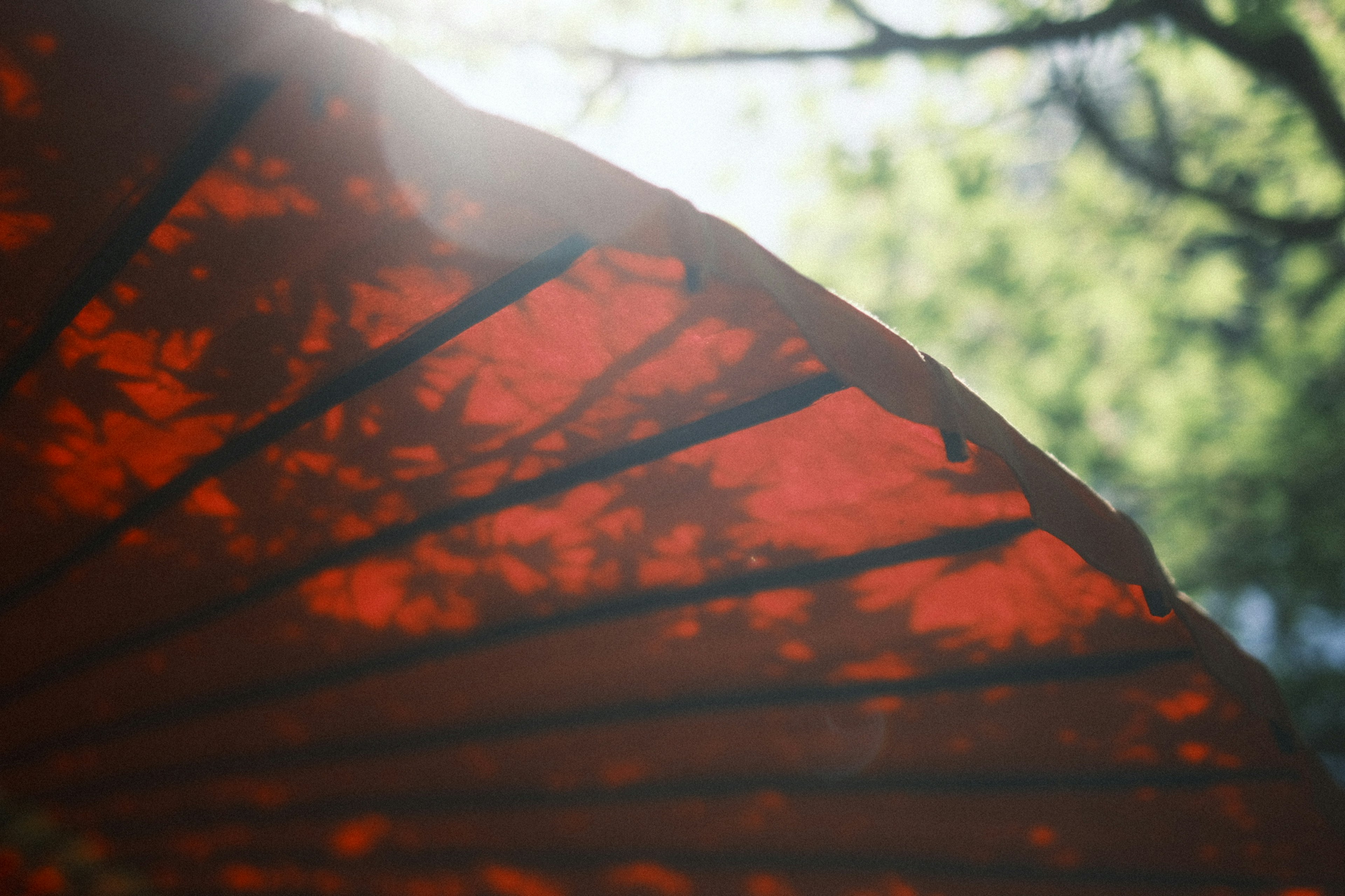 A beautiful view of a red umbrella casting shadows with dappled sunlight