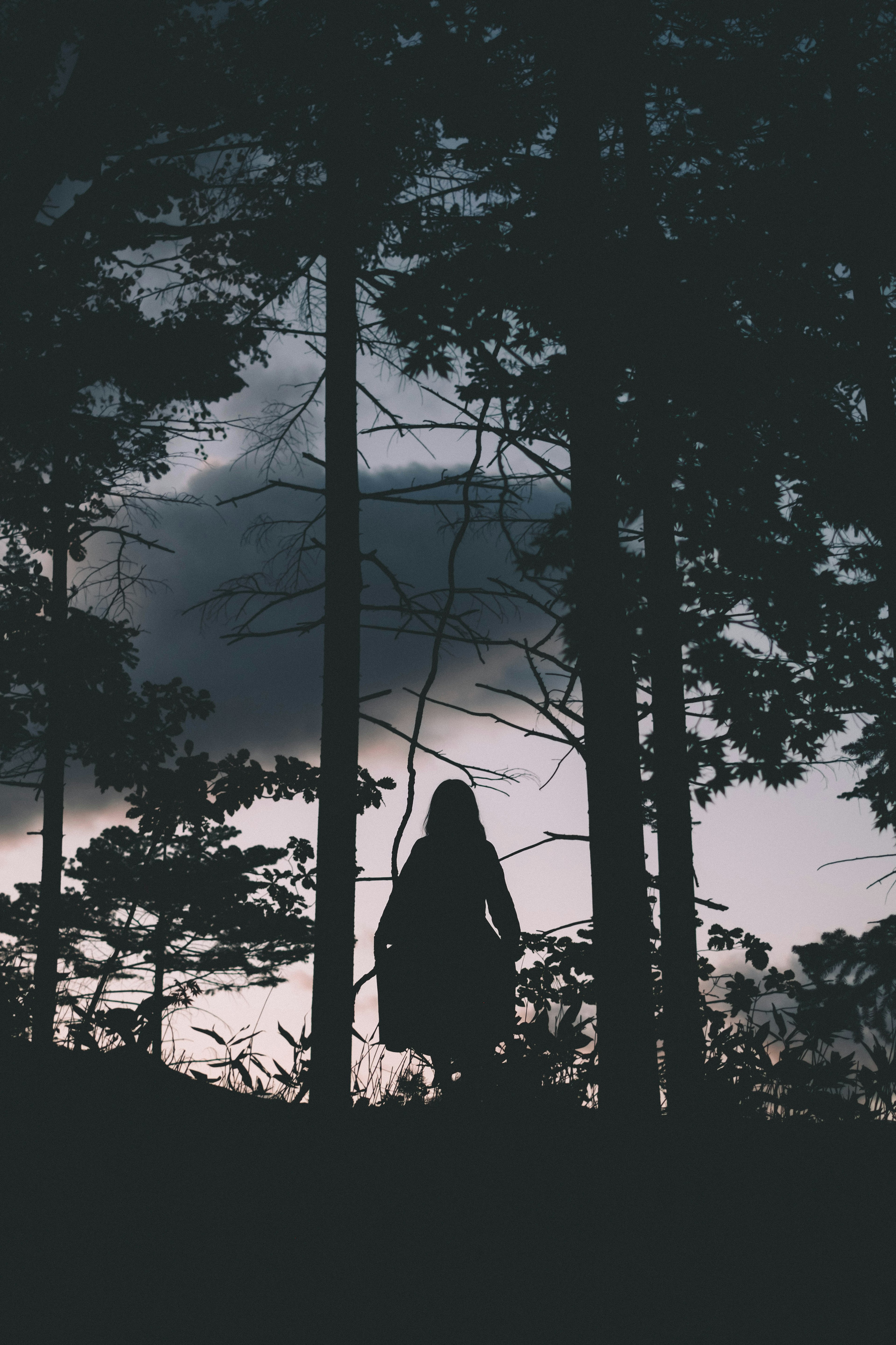 Silhouette of a woman standing in a dark forest with cloudy sky and trees in the background