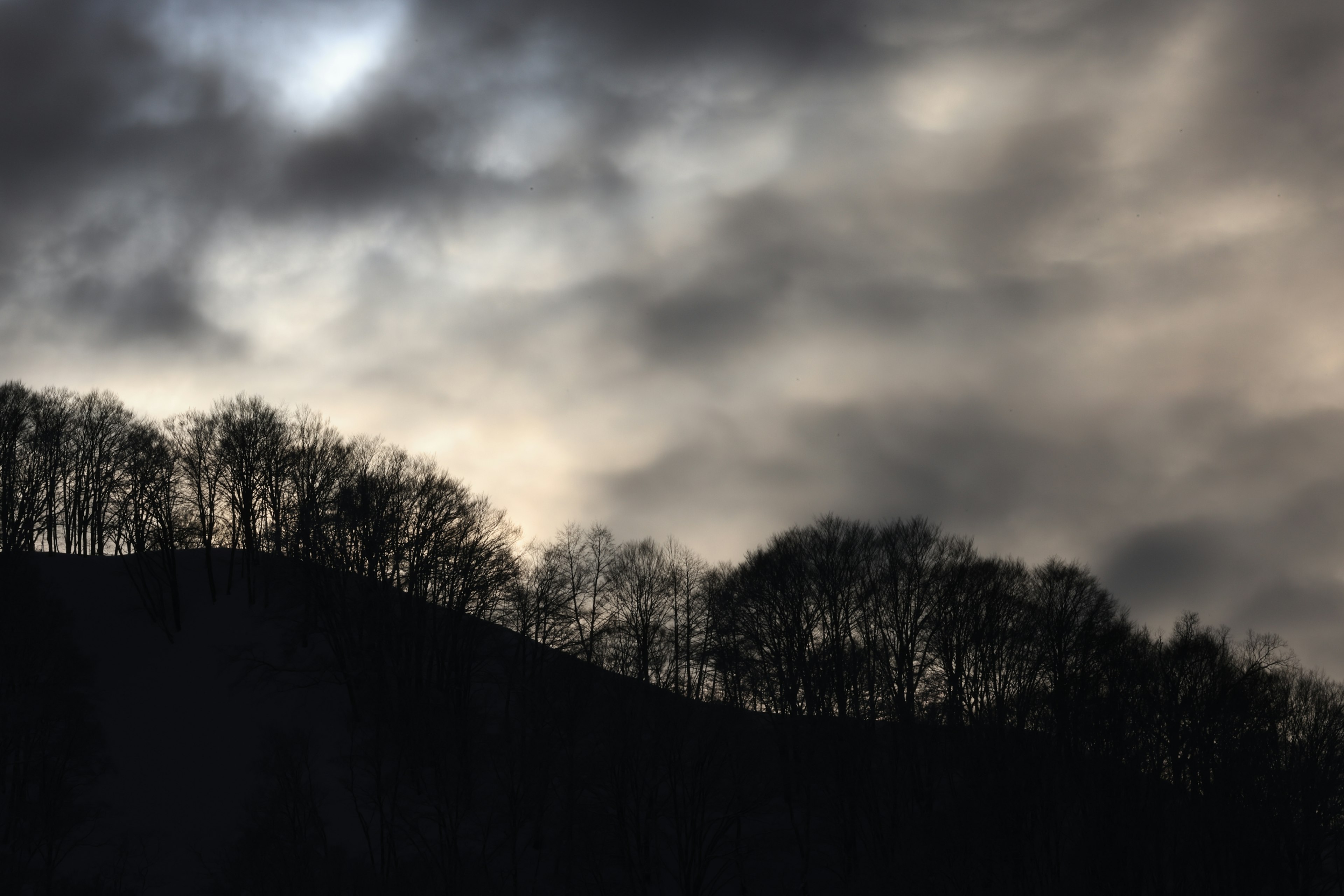 Silhouette d'arbres sur une colline sous des nuages sombres