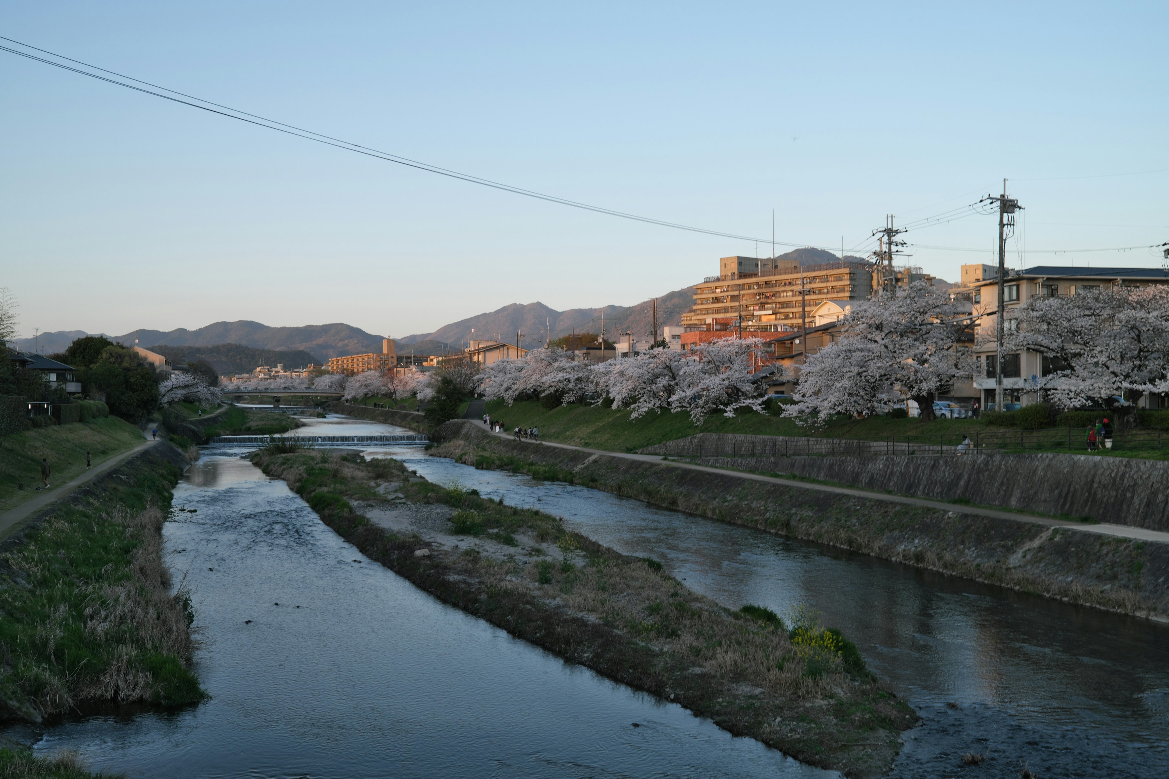 桜が咲く川の風景と山々の背景