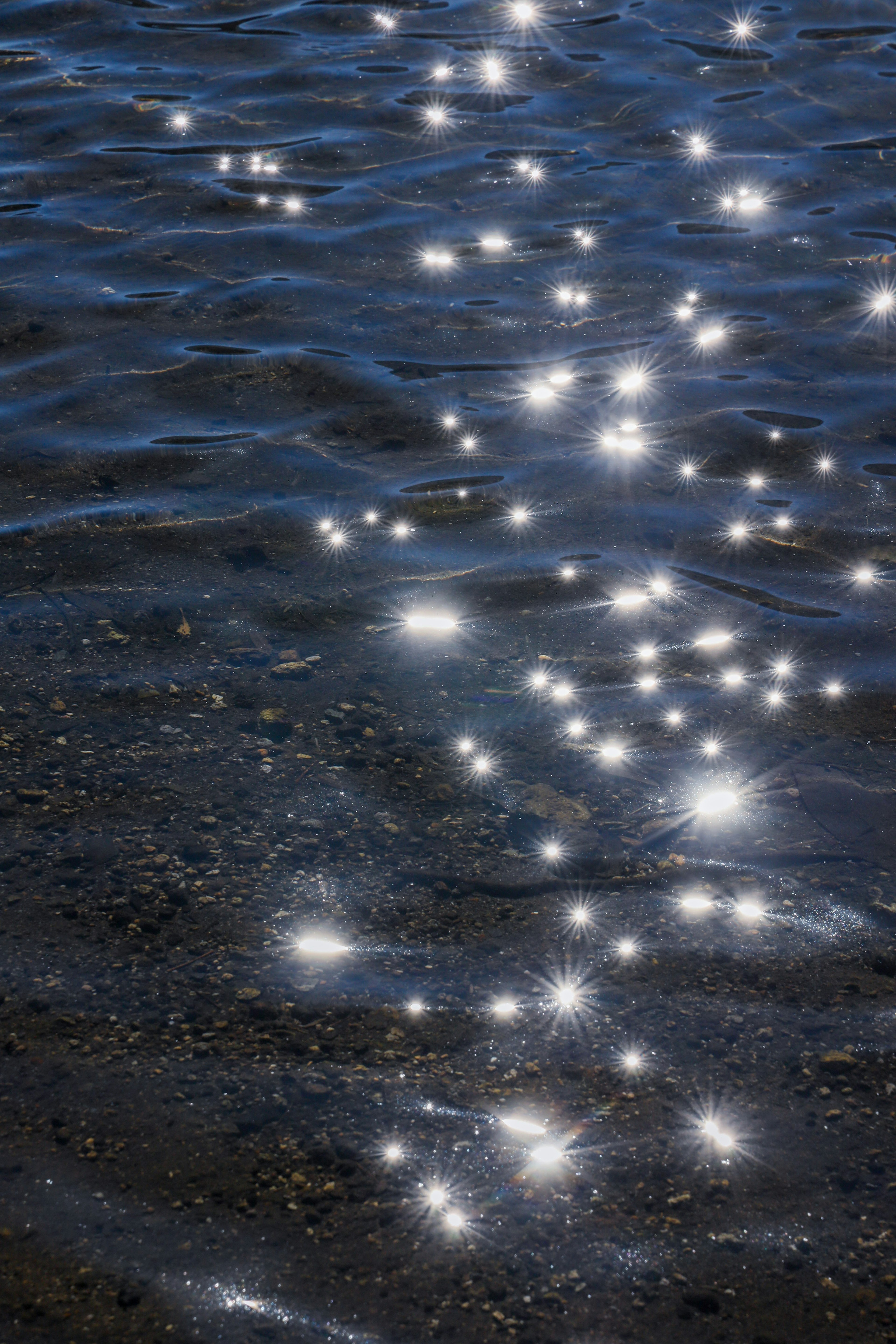 Reflejos brillantes en la superficie del agua