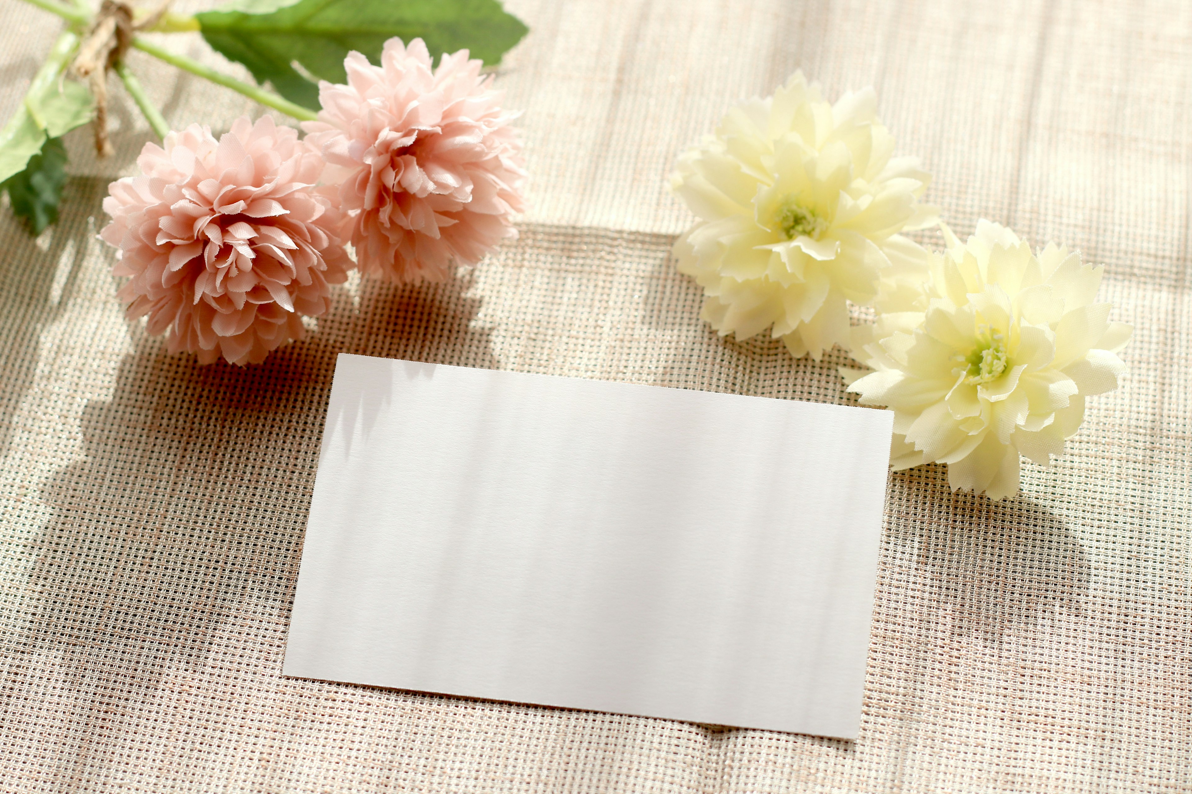 Soft-colored flowers and a blank card on a textured surface