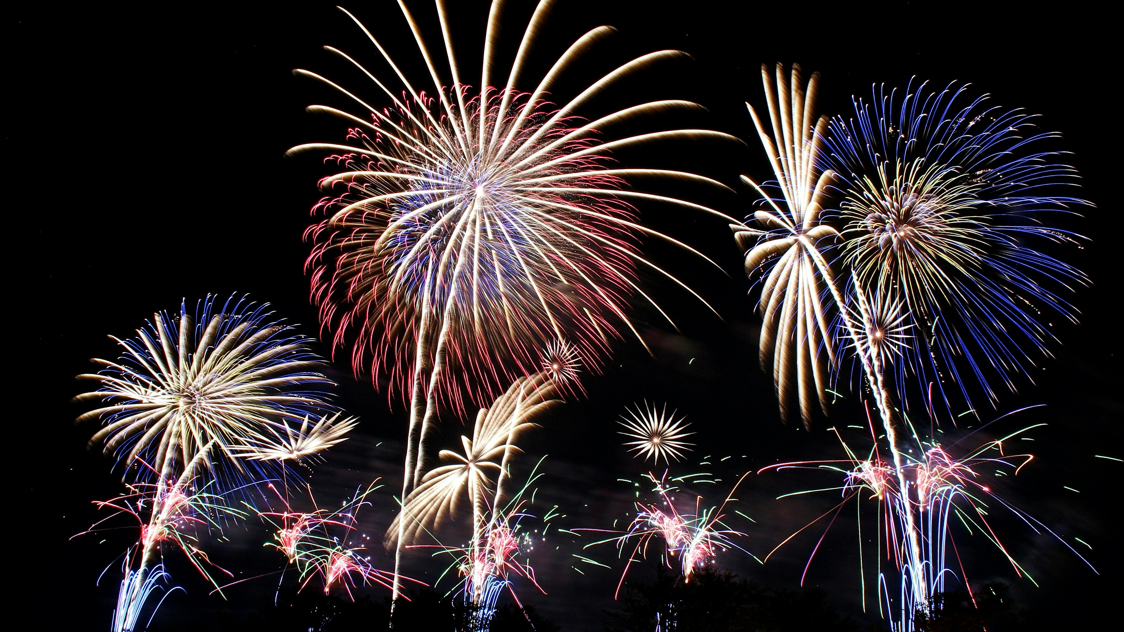 Hermoso espectáculo de fuegos artificiales en el cielo nocturno