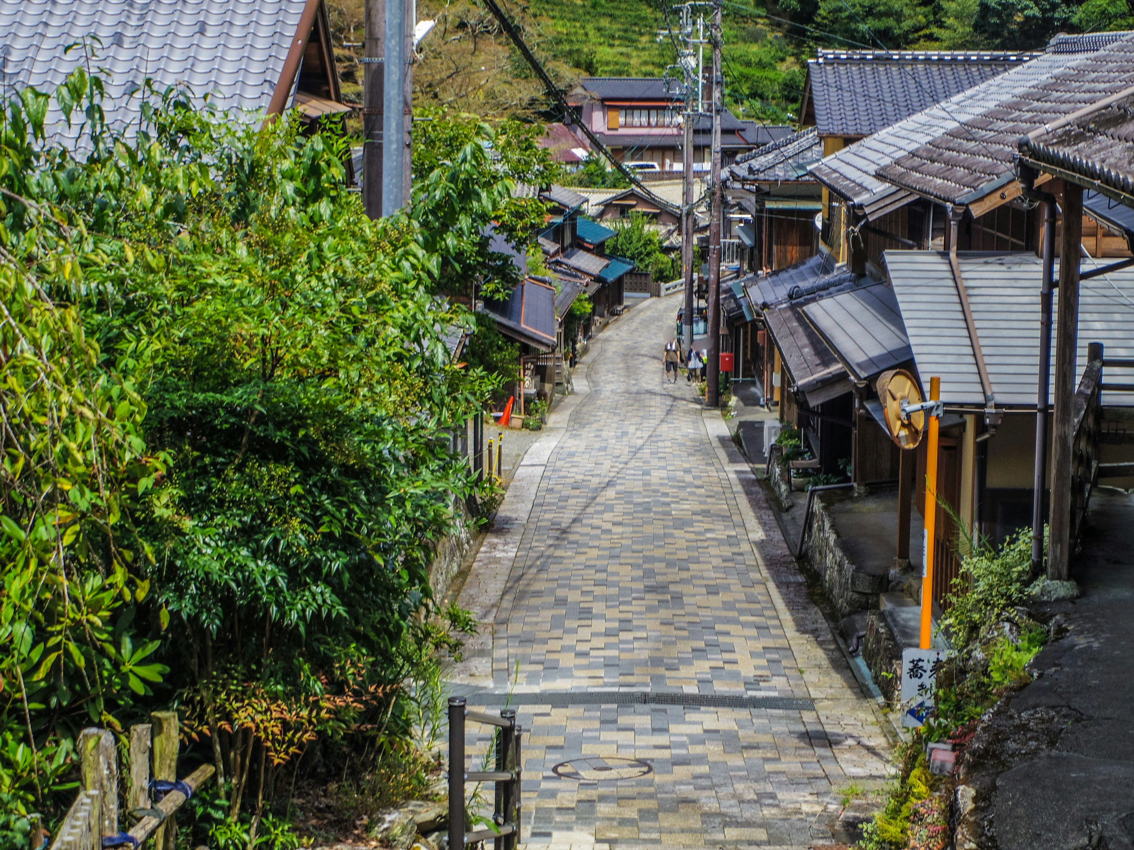 風景如畫的狹窄街道，兩旁是傳統房屋和郁郁蔥蔥的綠色植被